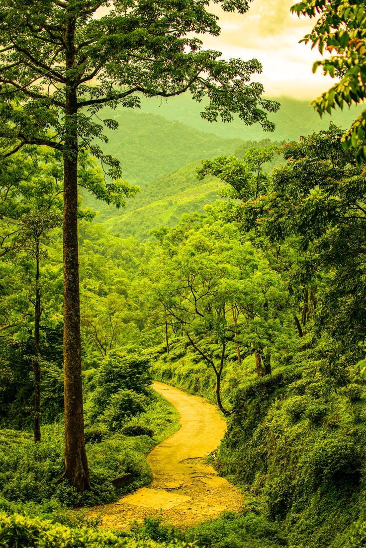 736x1103 Nature wallpaper, nature photography, nature, HD nature image, nature wallpaper for iphone, phone w