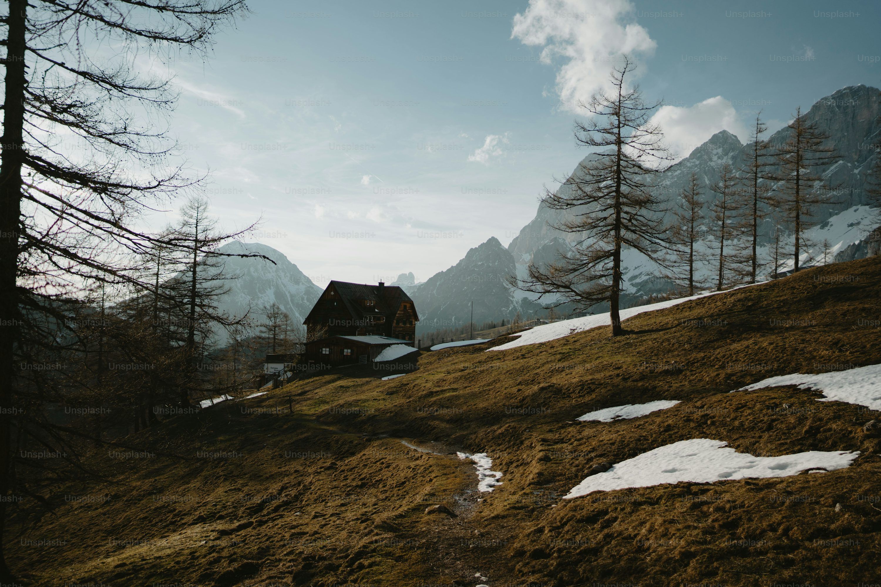 3000x2000 Wooden cabin nestled on a snowy mountainside with trees photo
