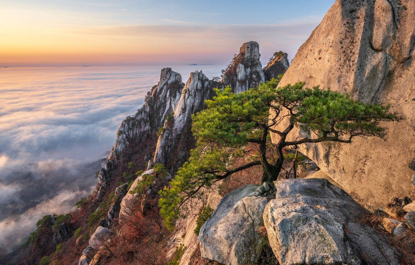 1332x850 Mountainside Wallpaper