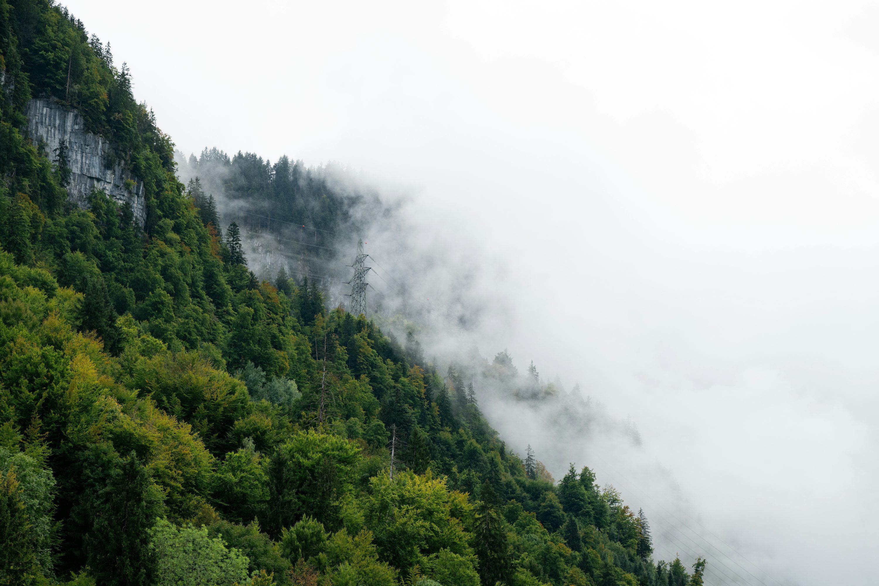 3000x2000 Misty forest on a steep mountainside photo