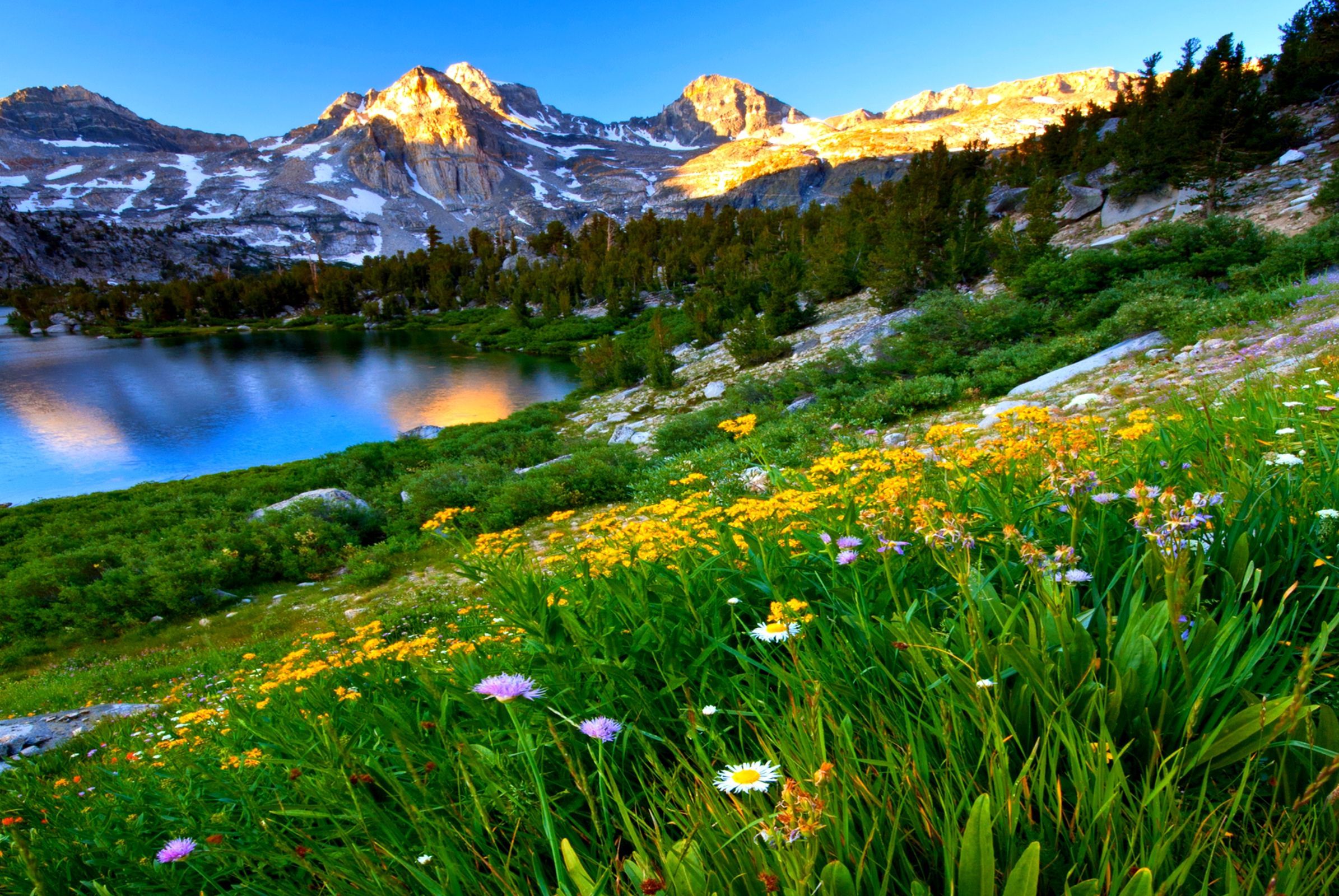 2390x1600 Mountainside Wallpaper
