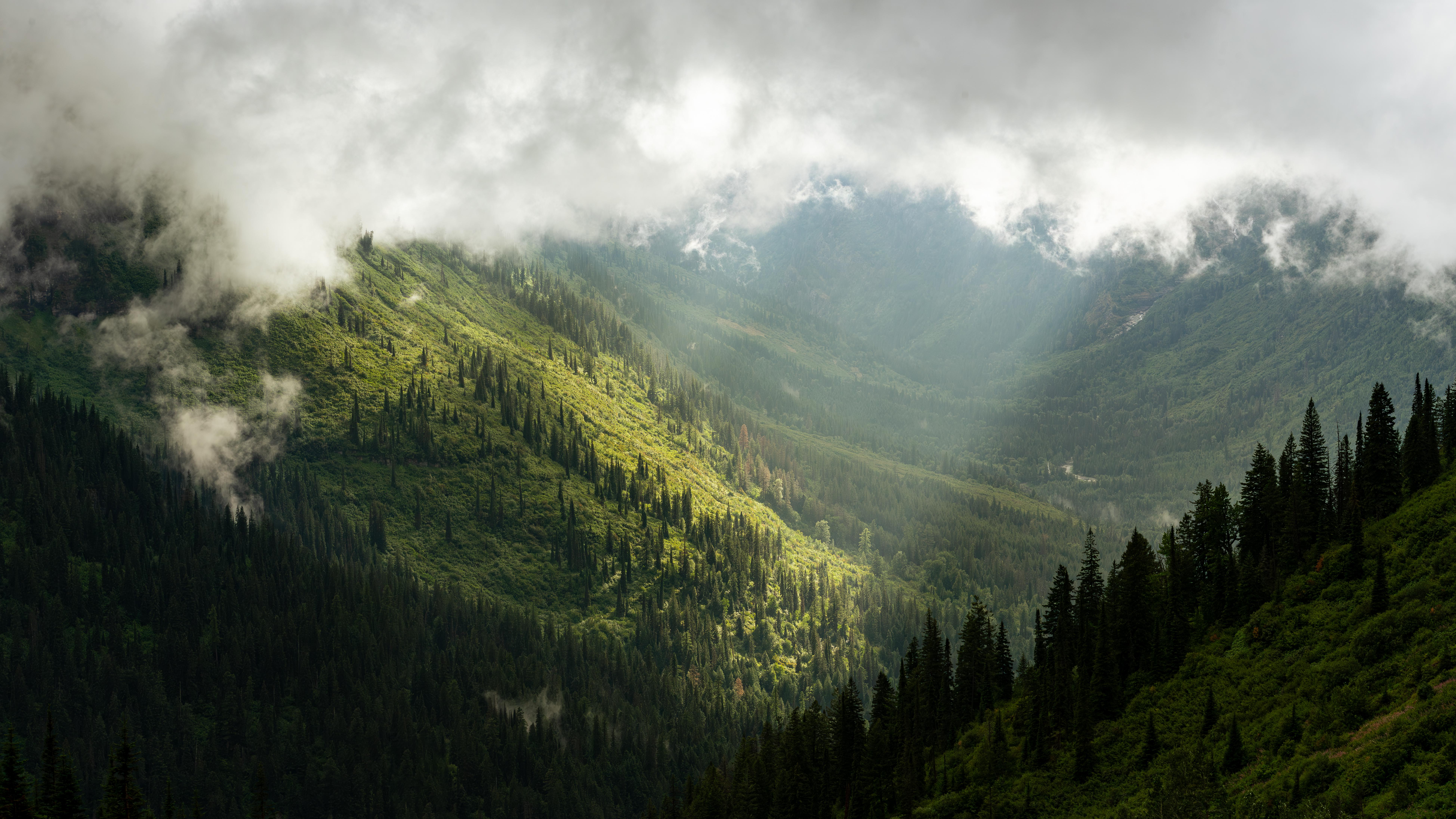 7792x4383 Sun beams shining onto a forested mountainside NP [OC] [7792x4383]