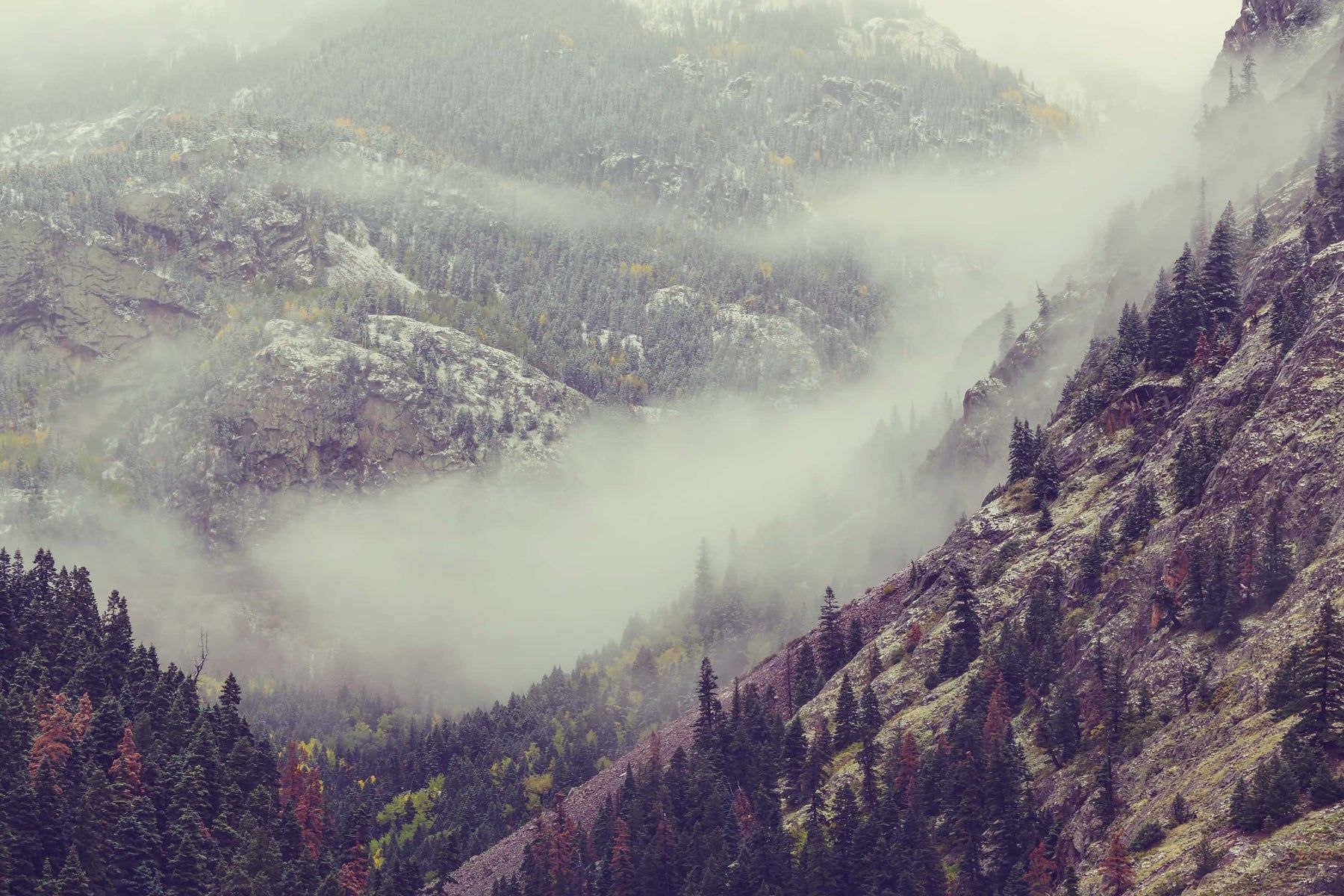 1800x1200 Mountain Side Fog