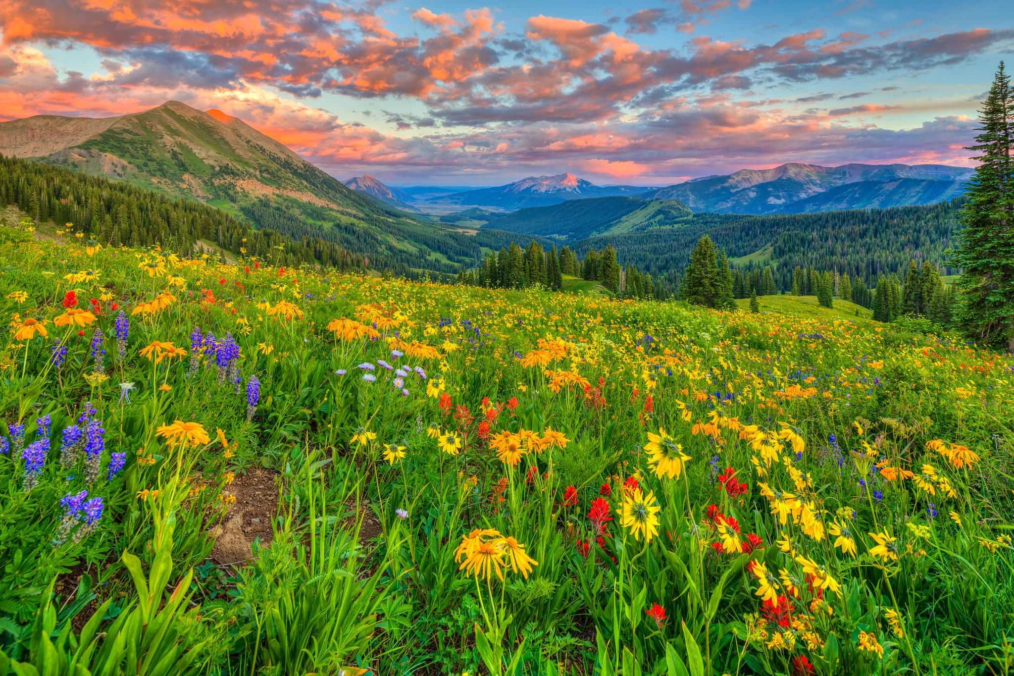 2048x1365 Desktop wallpaper: Grass, Nature, Earth, Landscape, Flower, Mountain, Sunset 4K free download for PC. 735620