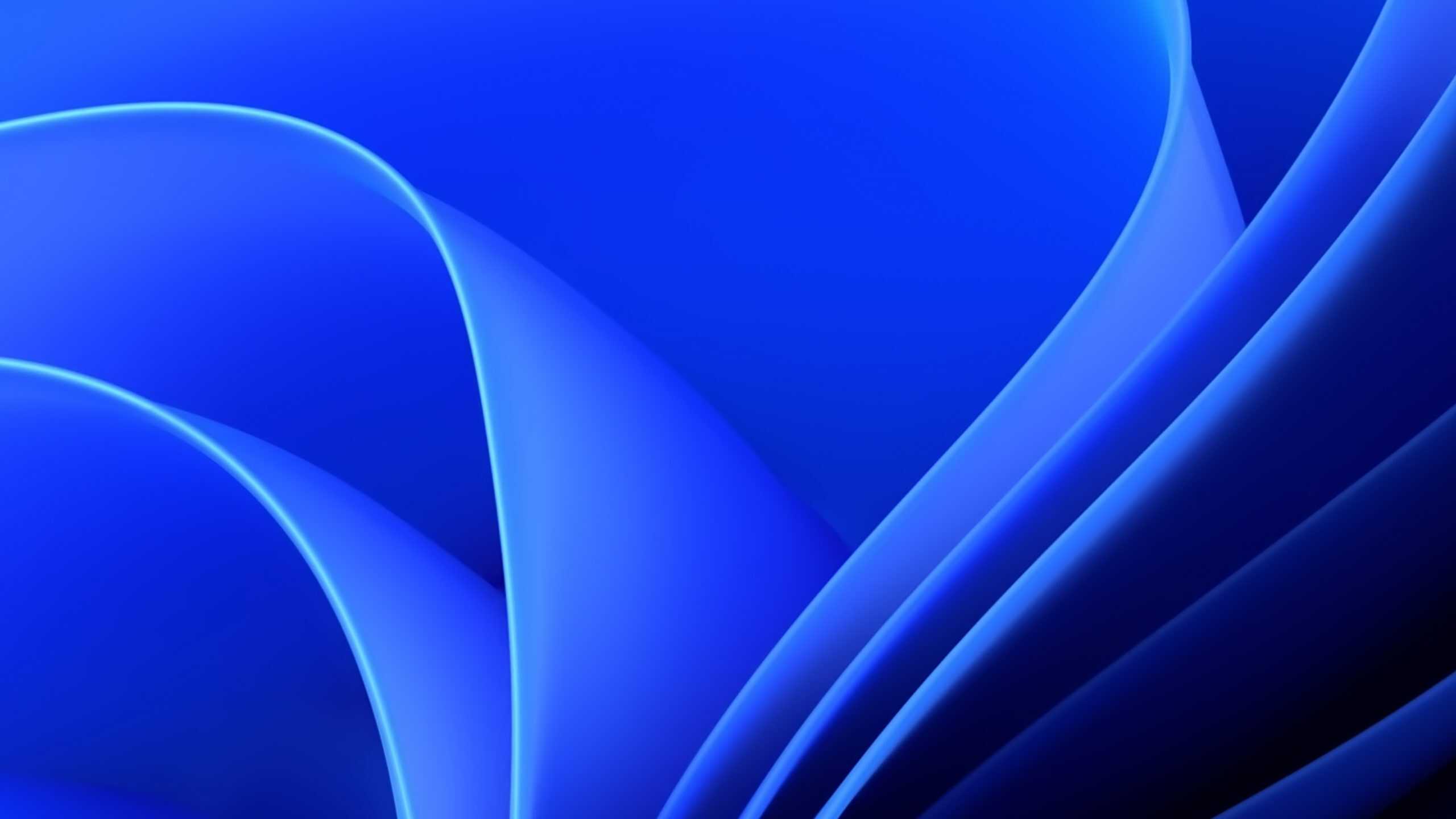 2560x1440 Windows 11 Wallpaper to Enhance Your Experience