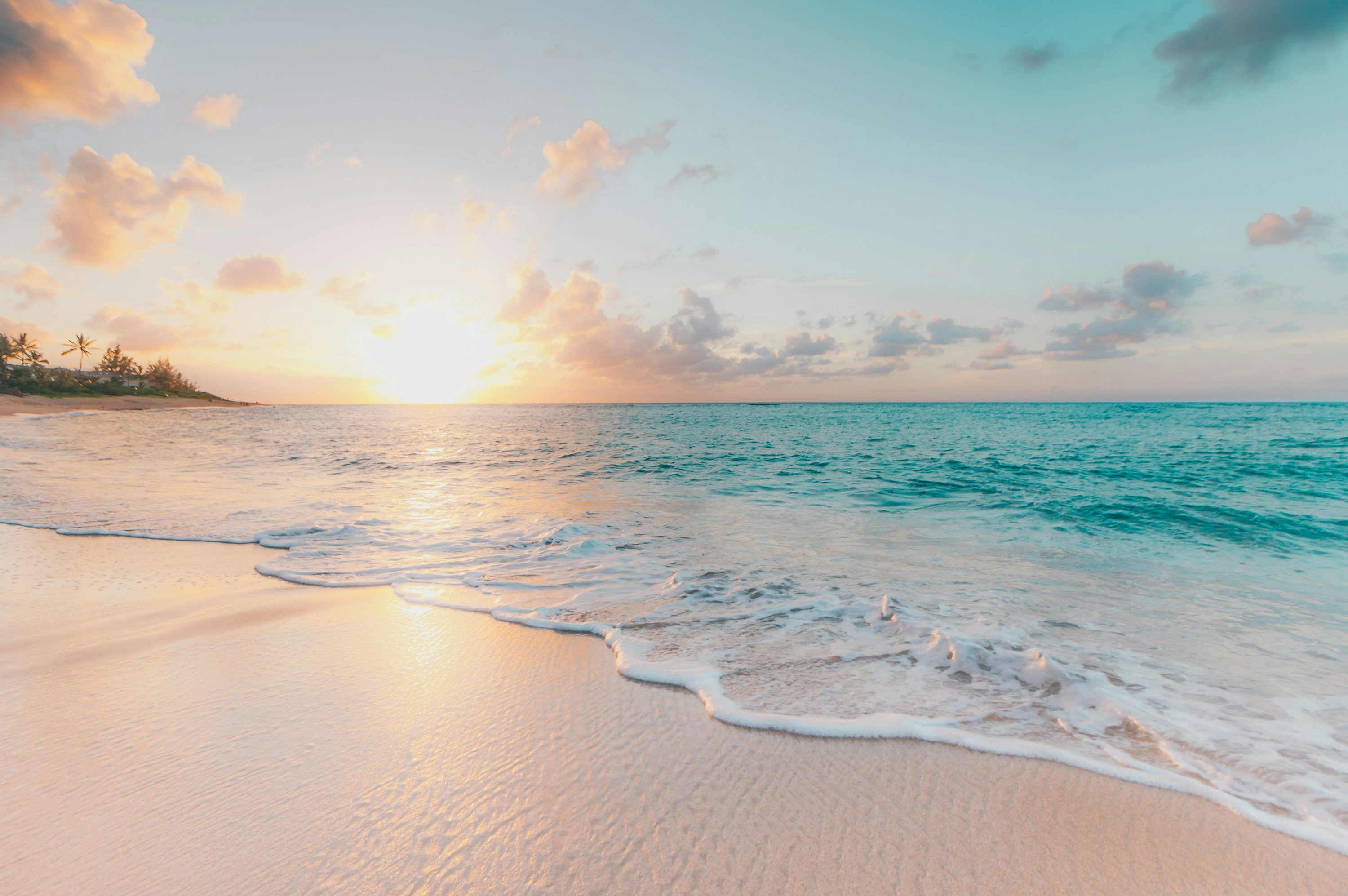 3000x1994 Tropical Wallpaper: Free HD Download [4K]