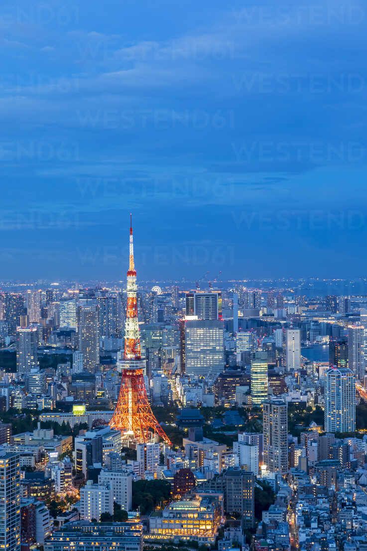 Blue Tokyo Wallpapers - Top Free Blue Tokyo Backgrounds - WallpaperAccess