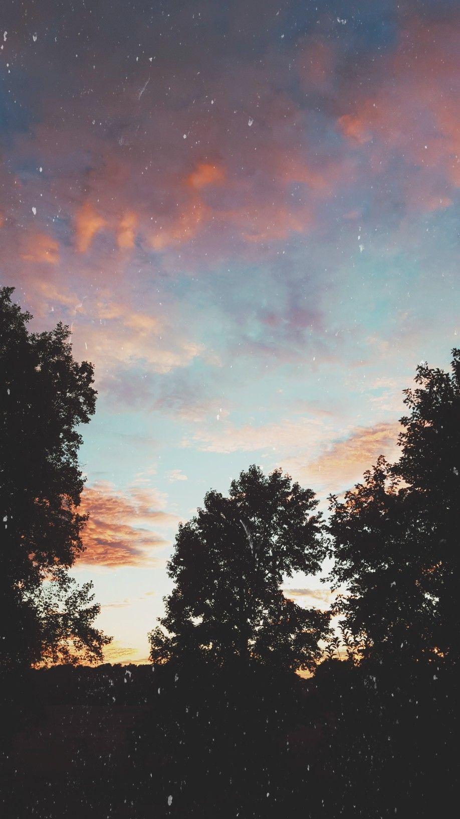918x1632 trees sunset wallpaper lock screen blue pink old vintage faded