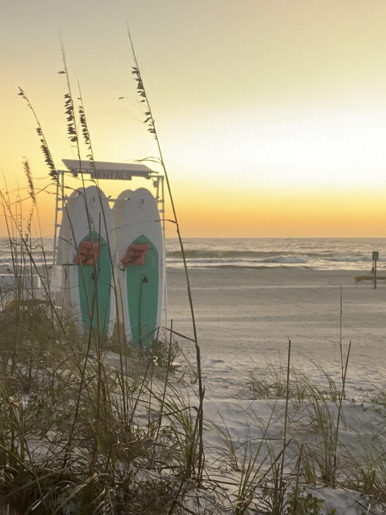 768x1024 Beach Park. Paddle Board & Kayak Rentals St. Petersburg