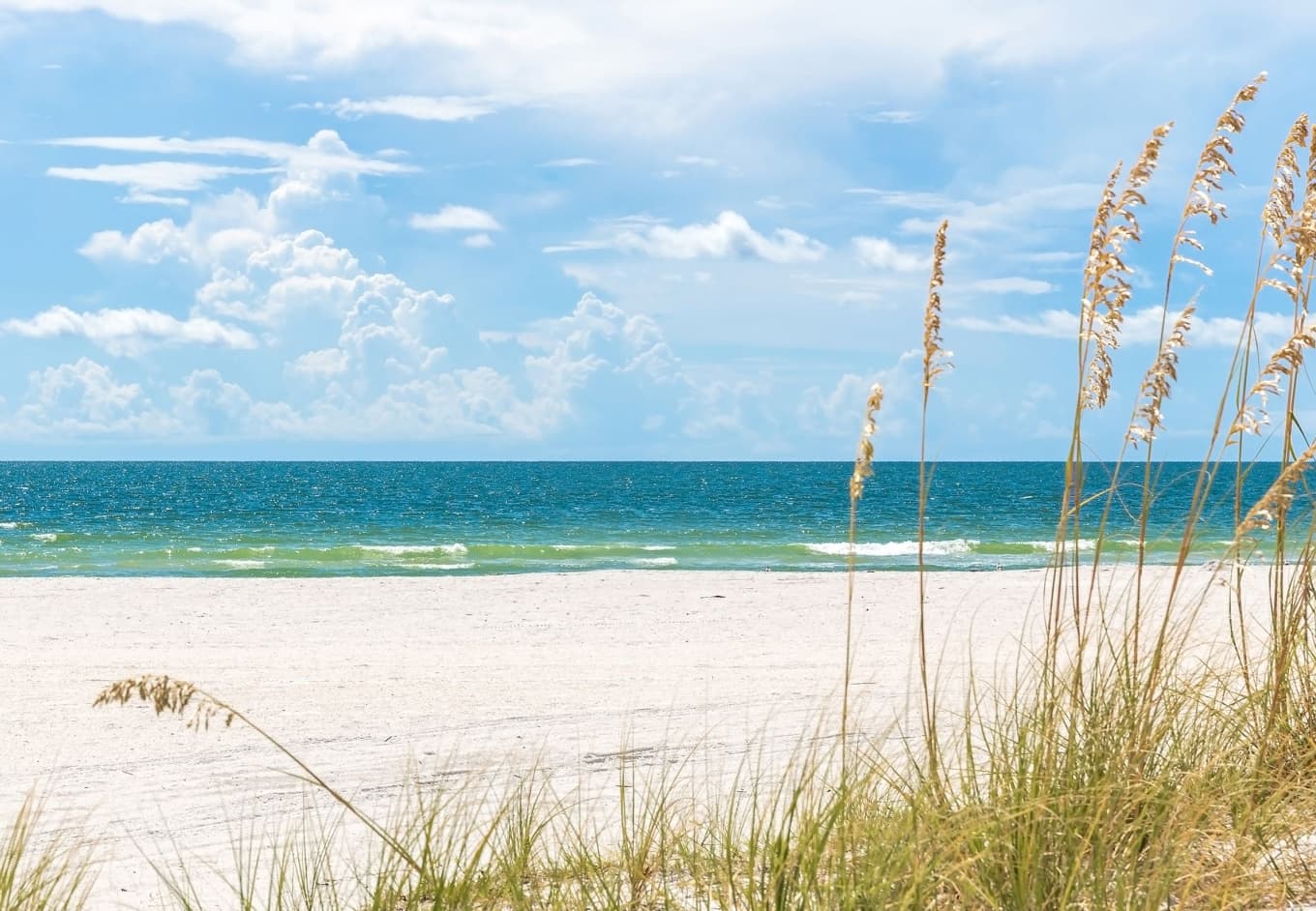 1360x942 The Best Beaches In Tampa Area, FL