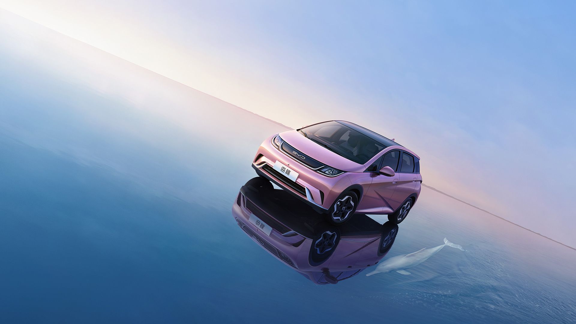 1920x1080 BYD Dolphin 海豚新色(3). Image - Behance