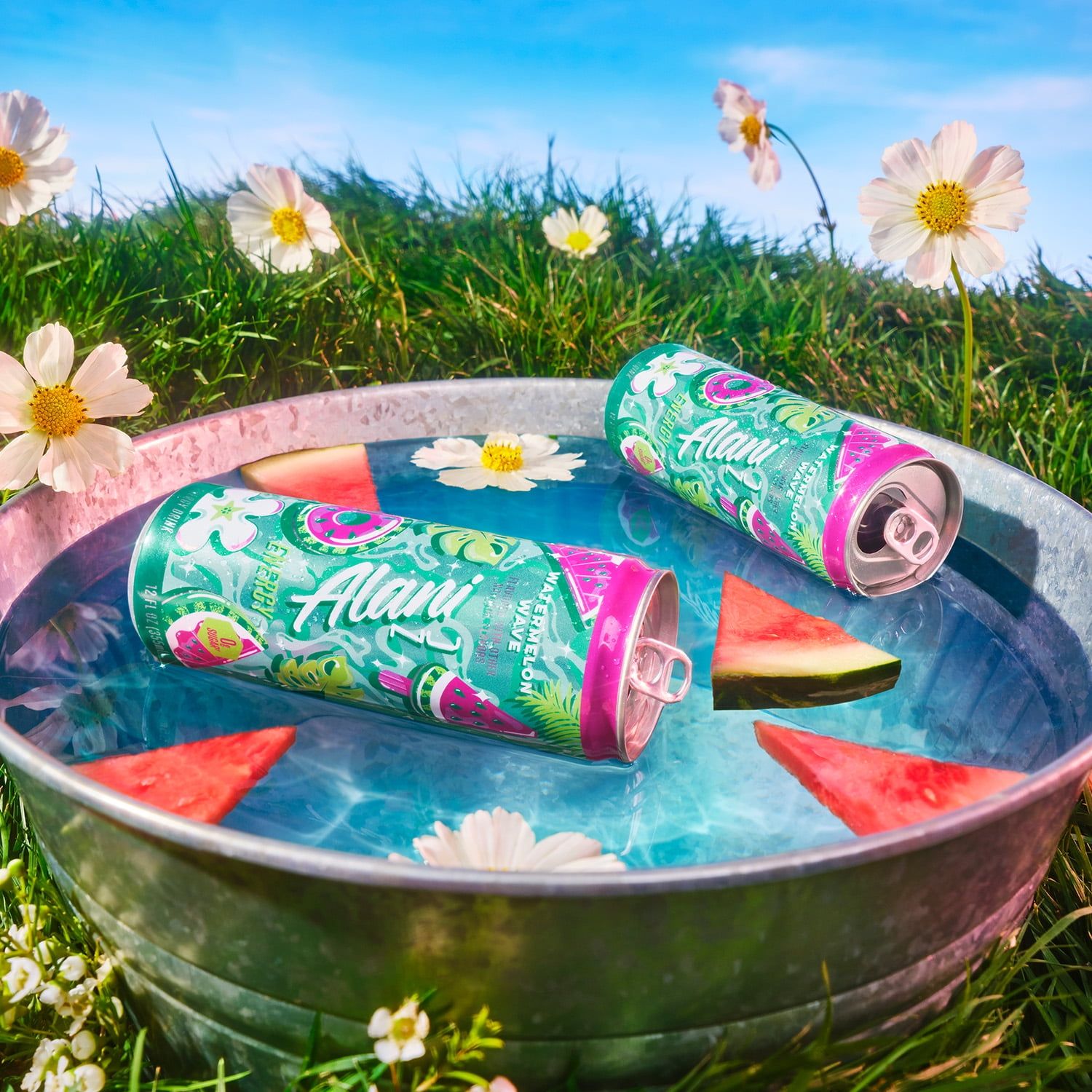 1500x1500 Alani Nu, Watermelon Wave, 12 fl oz, Single Can