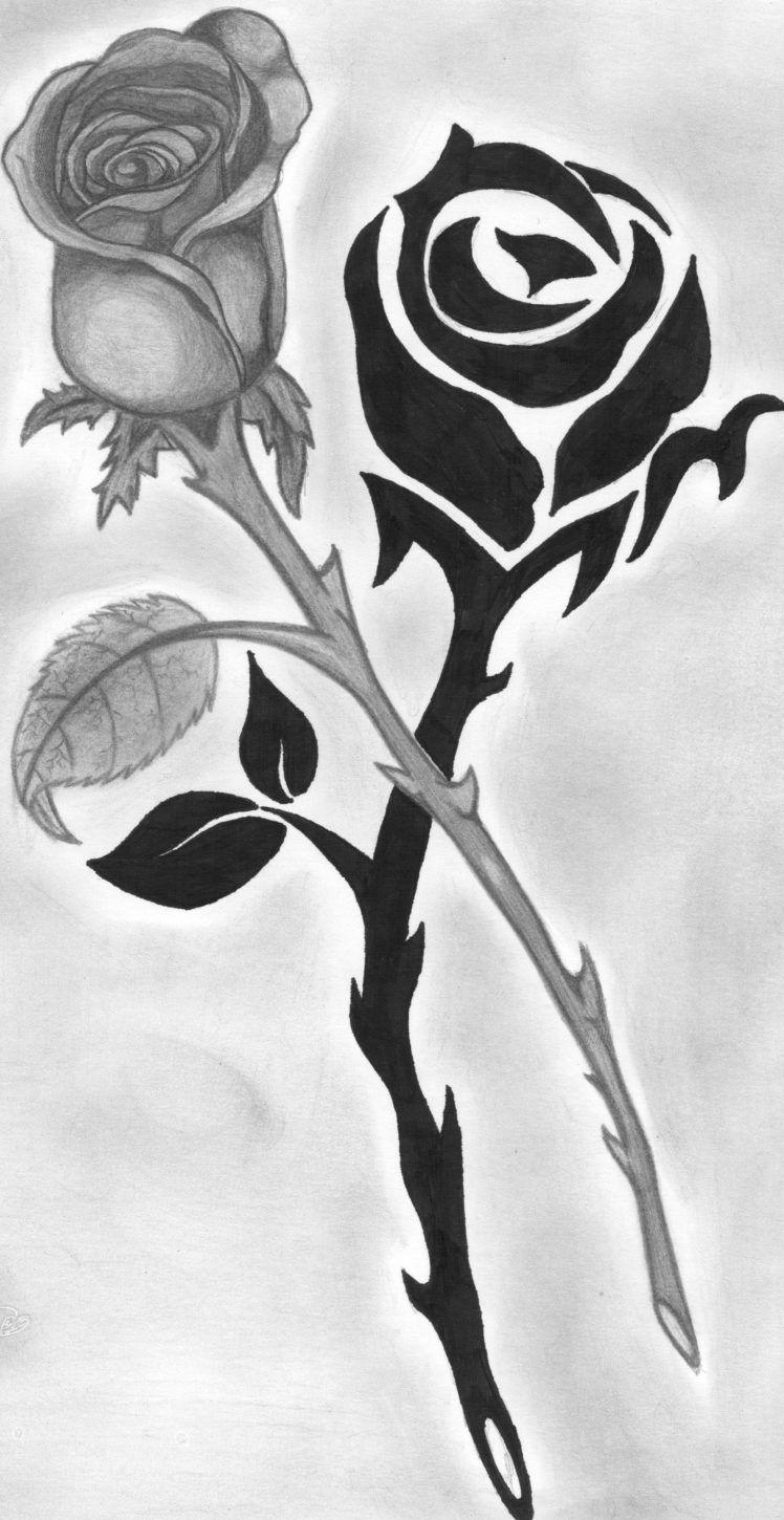 748x1450 drawing, Rose, Monochrome HD Wallpaper / Desktop and Mobile