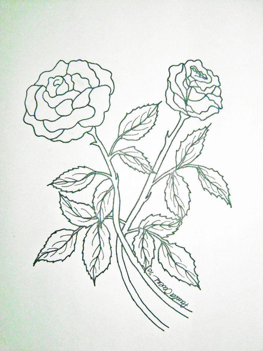 Rose Drawing Wallpapers - Top Free Rose Drawing Backgrounds ...