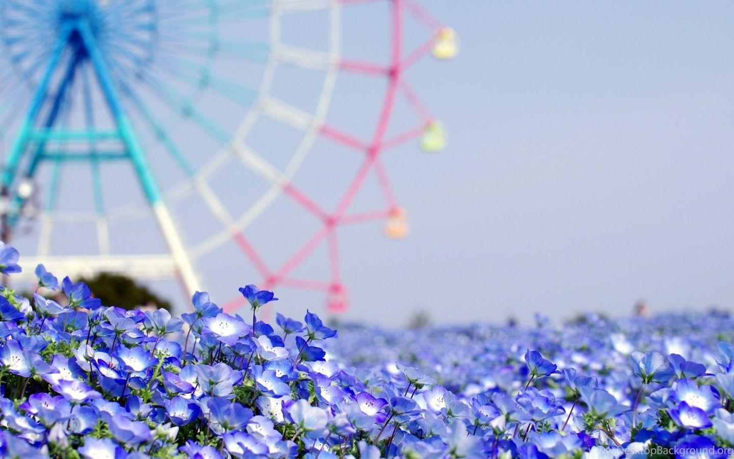 1440x900 Art Wallpaper: Flower Tumblr Desktop Background Wallpaper