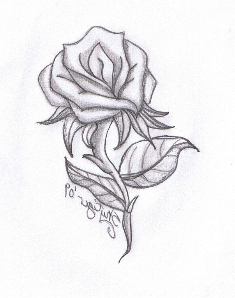 Black and White Rose Drawing Wallpapers - Top Free Black and White Rose ...