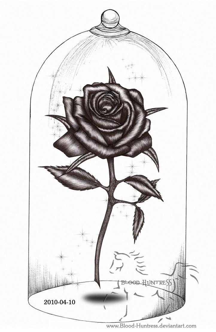 722x1106 Bank 288.7 kb. Rose sketch pencil, max ultra