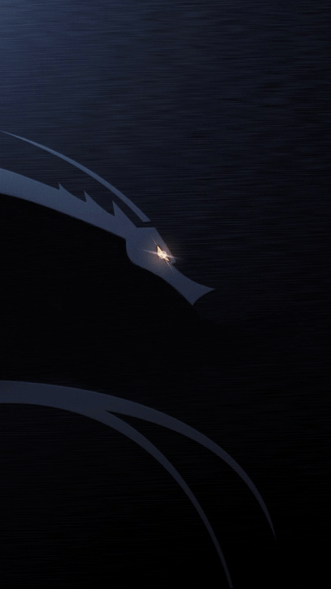1080x1920 Dragon Wallpaper 4k For Mobile Wallpaper For Desktop