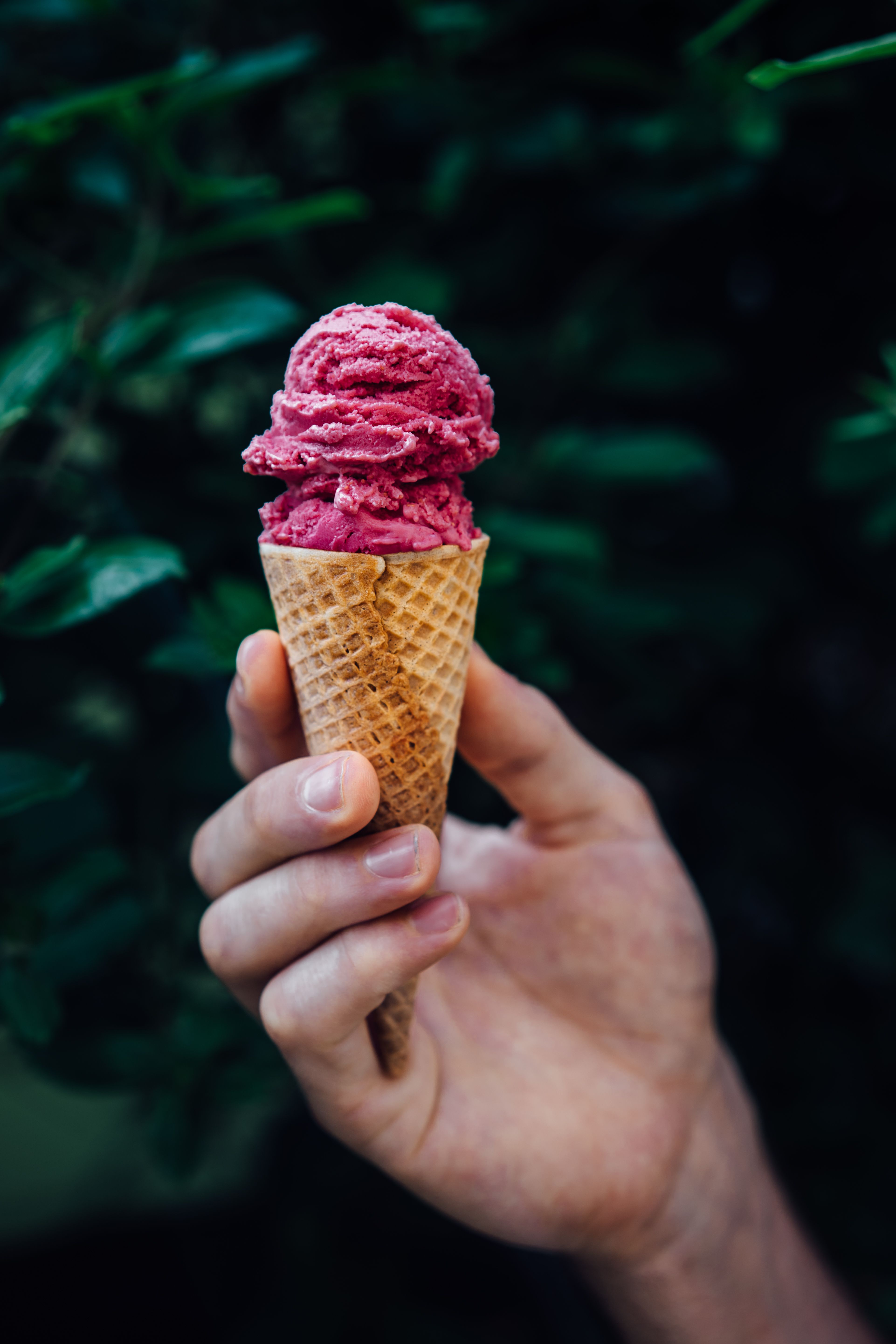 3844x5766 Raspberry Frozen Yogurt the TABLE