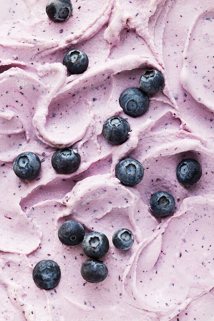 734x1100 Sugar Free Frozen Blueberry Yoghurt