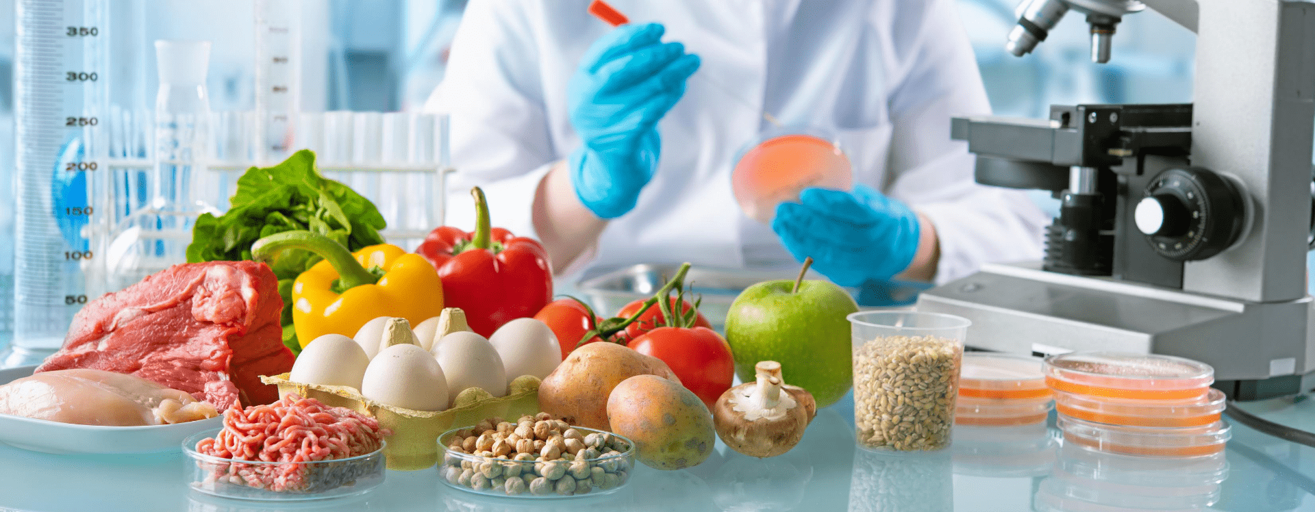 1920x748 Food Industry Wallpaper