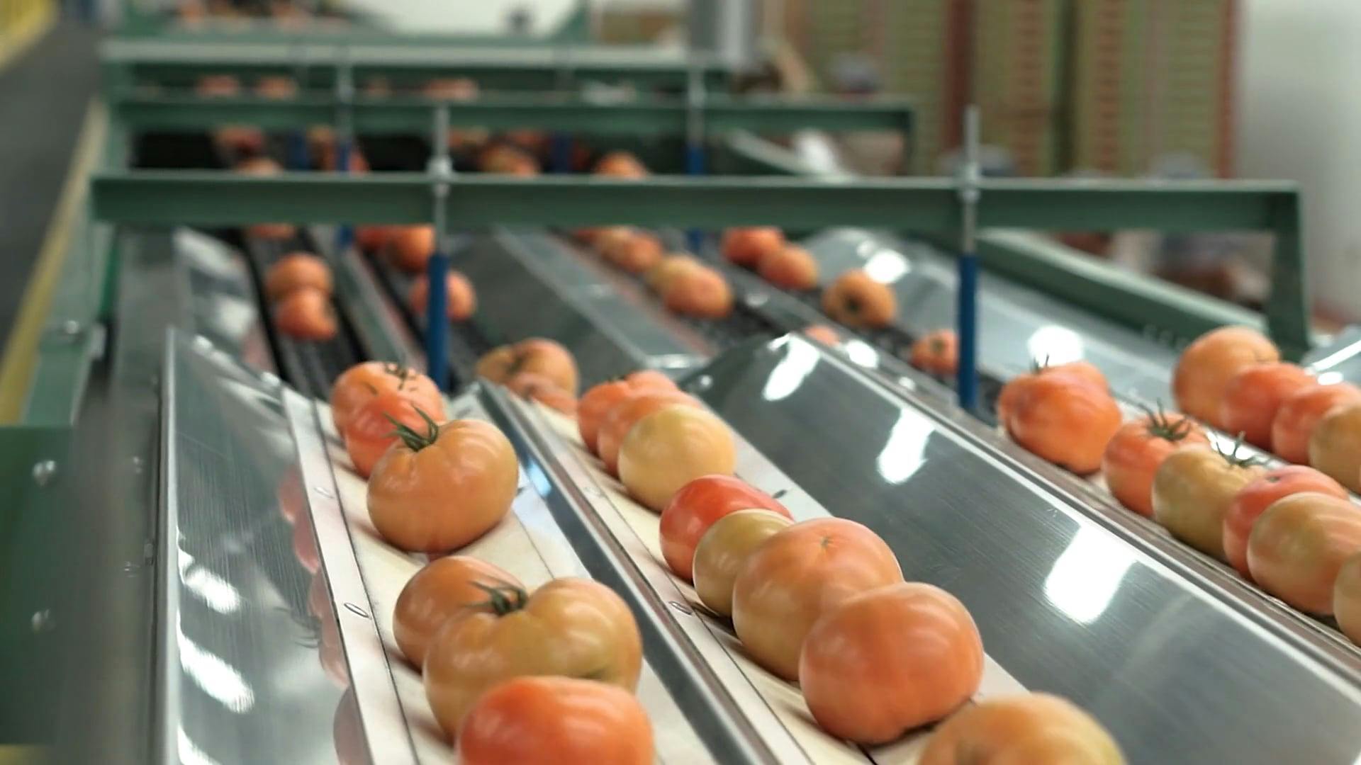 1920x1080 Food Processing Videos, Download The BEST Free 4k Stock Video Footage & Food Processing HD Video Clips