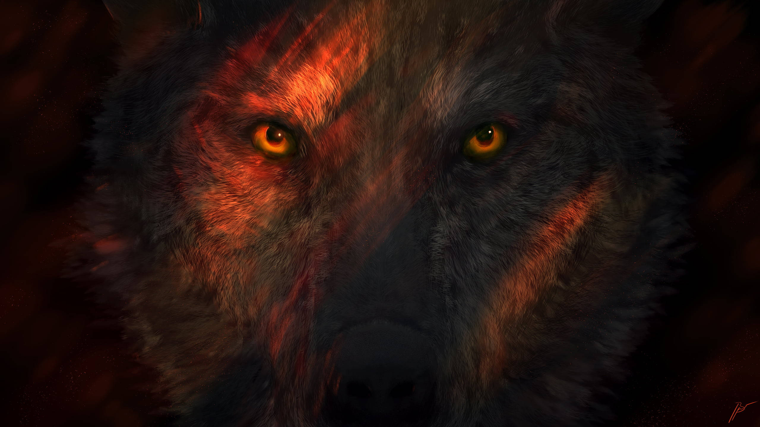 2560x1440 Wolf Wallpaper
