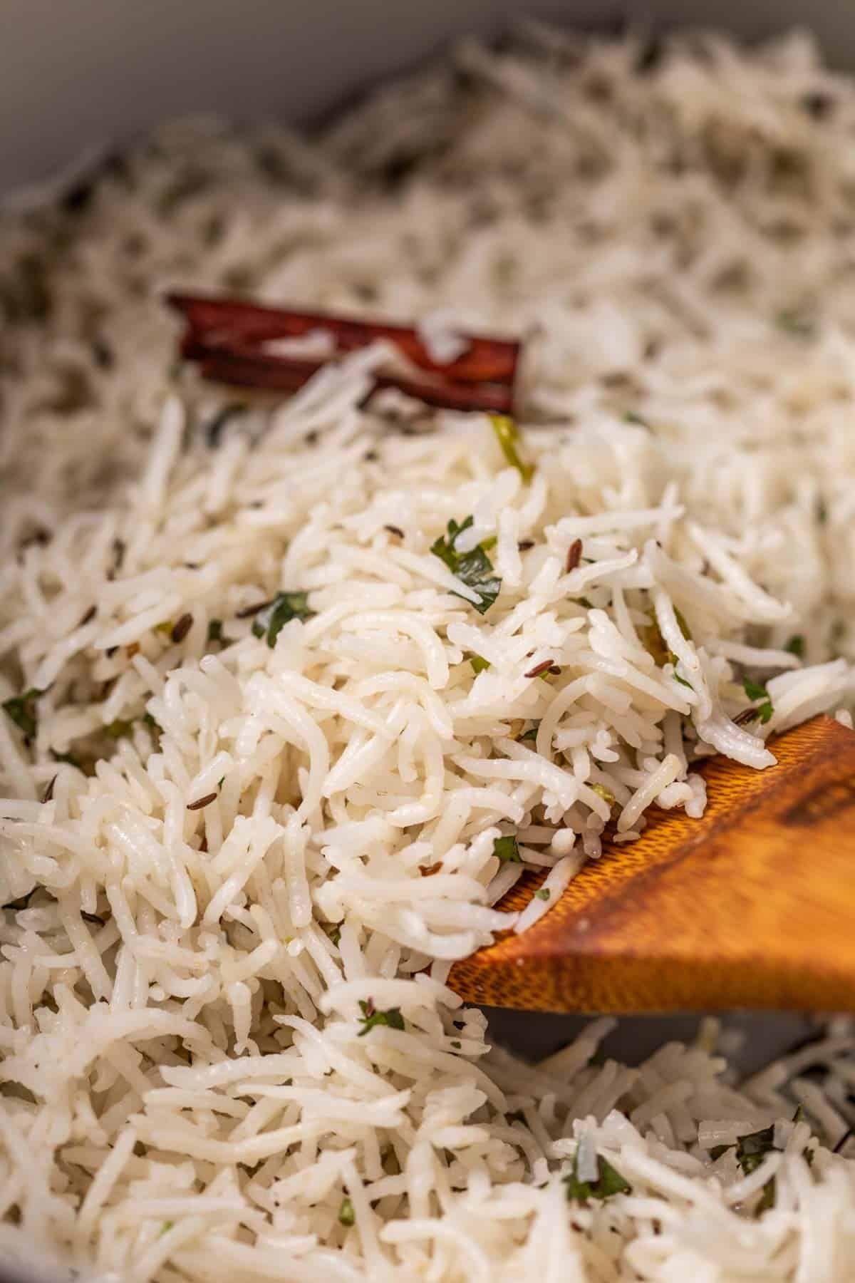 Ghee Rice Wallpapers - Top Free Ghee Rice Backgrounds - WallpaperAccess