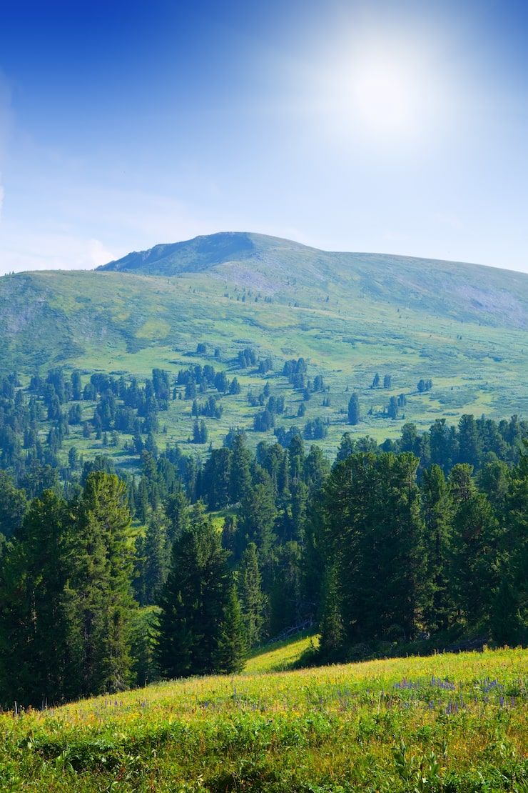 740x1110 Nature hill Image