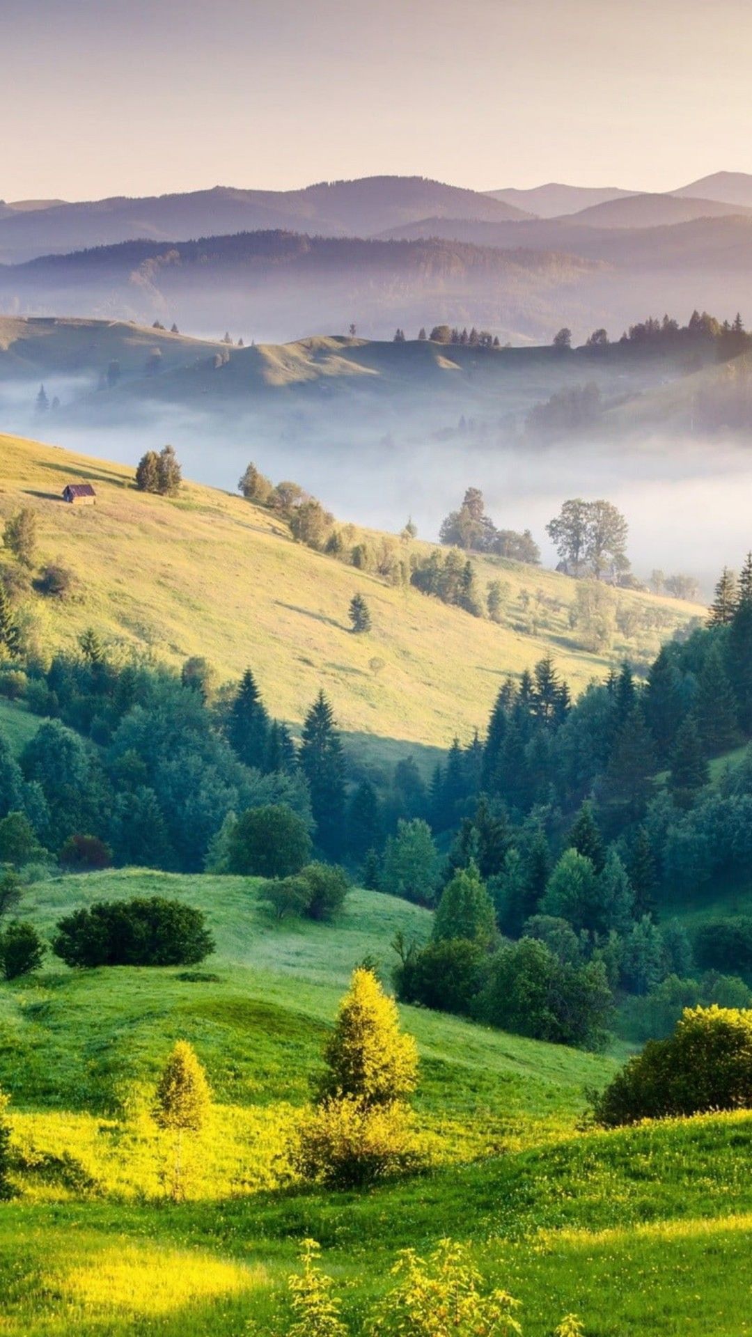 1080x1920 Green Field Hills And Trees Covered With Mist On Mountains During Morning Time 4K HD Nature Wallpaper