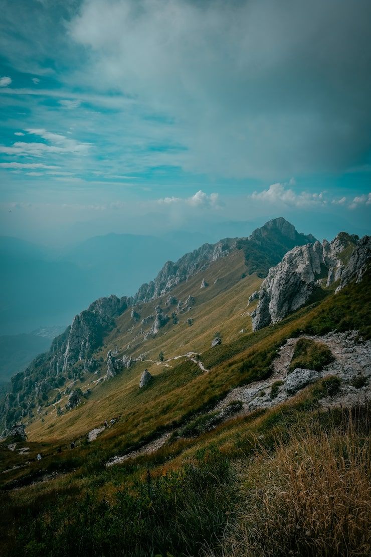 740x1110 Nature hills Image