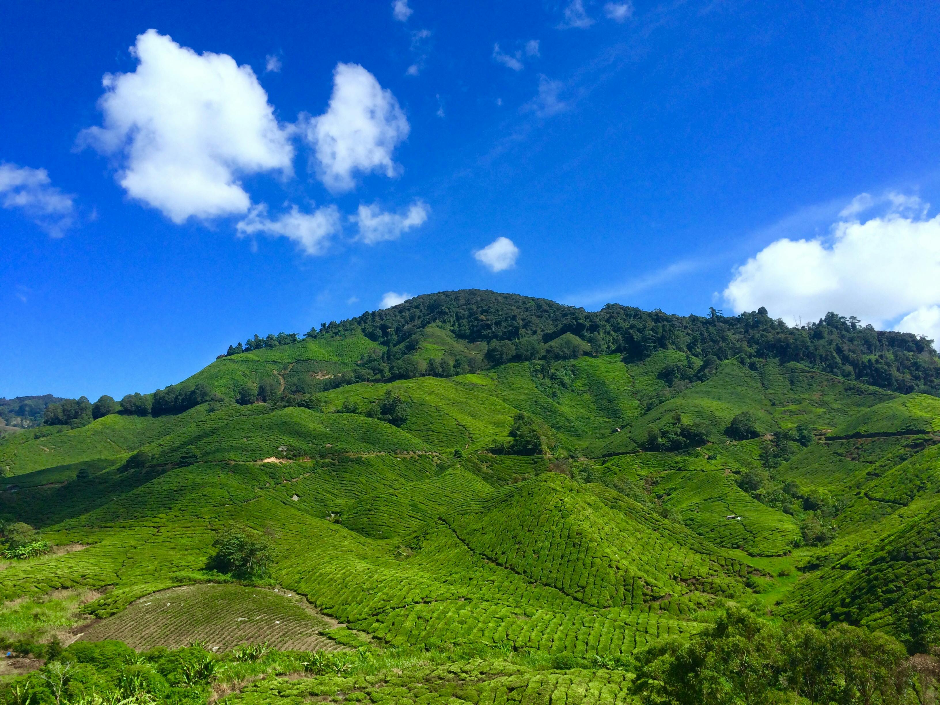 3264x2448 Landscape Photography of Green Hill Under Blue Sky and White Clouds during Daytime · Free