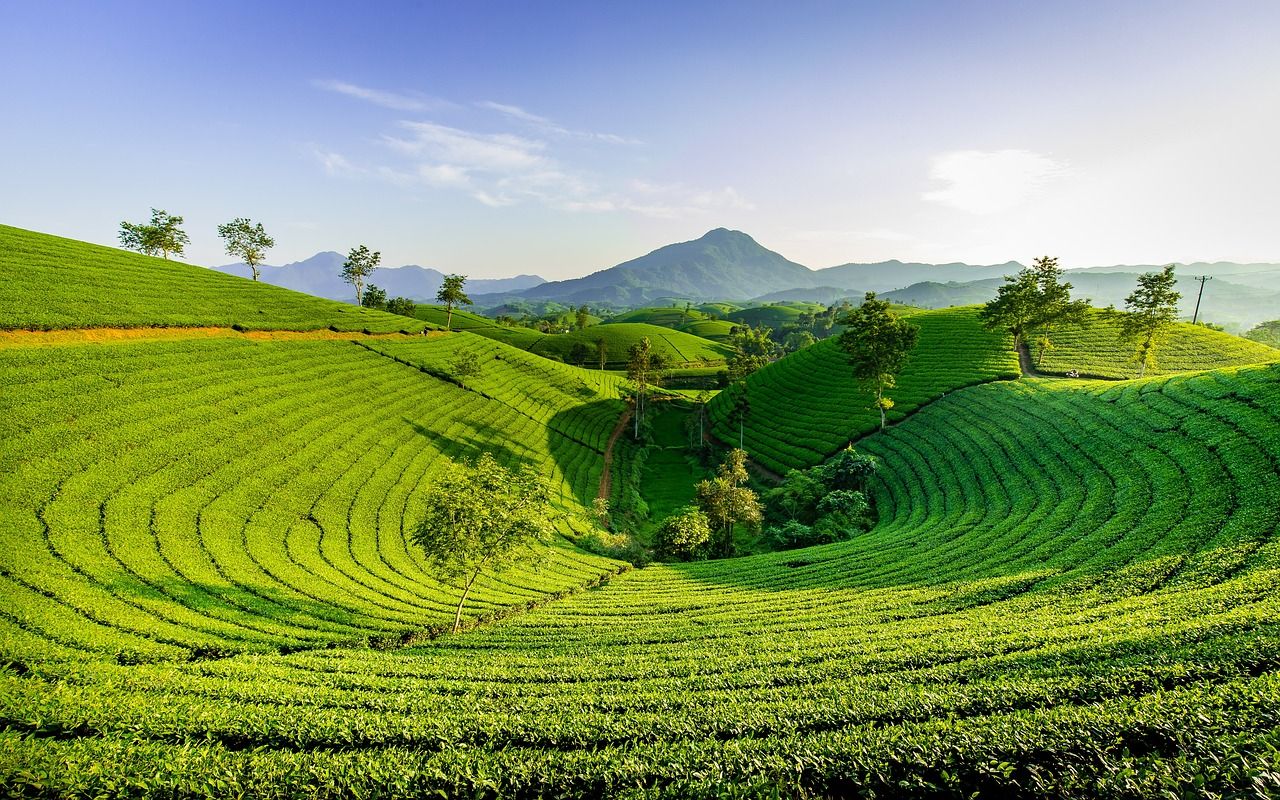 1280x800 Free Hills & Nature Image