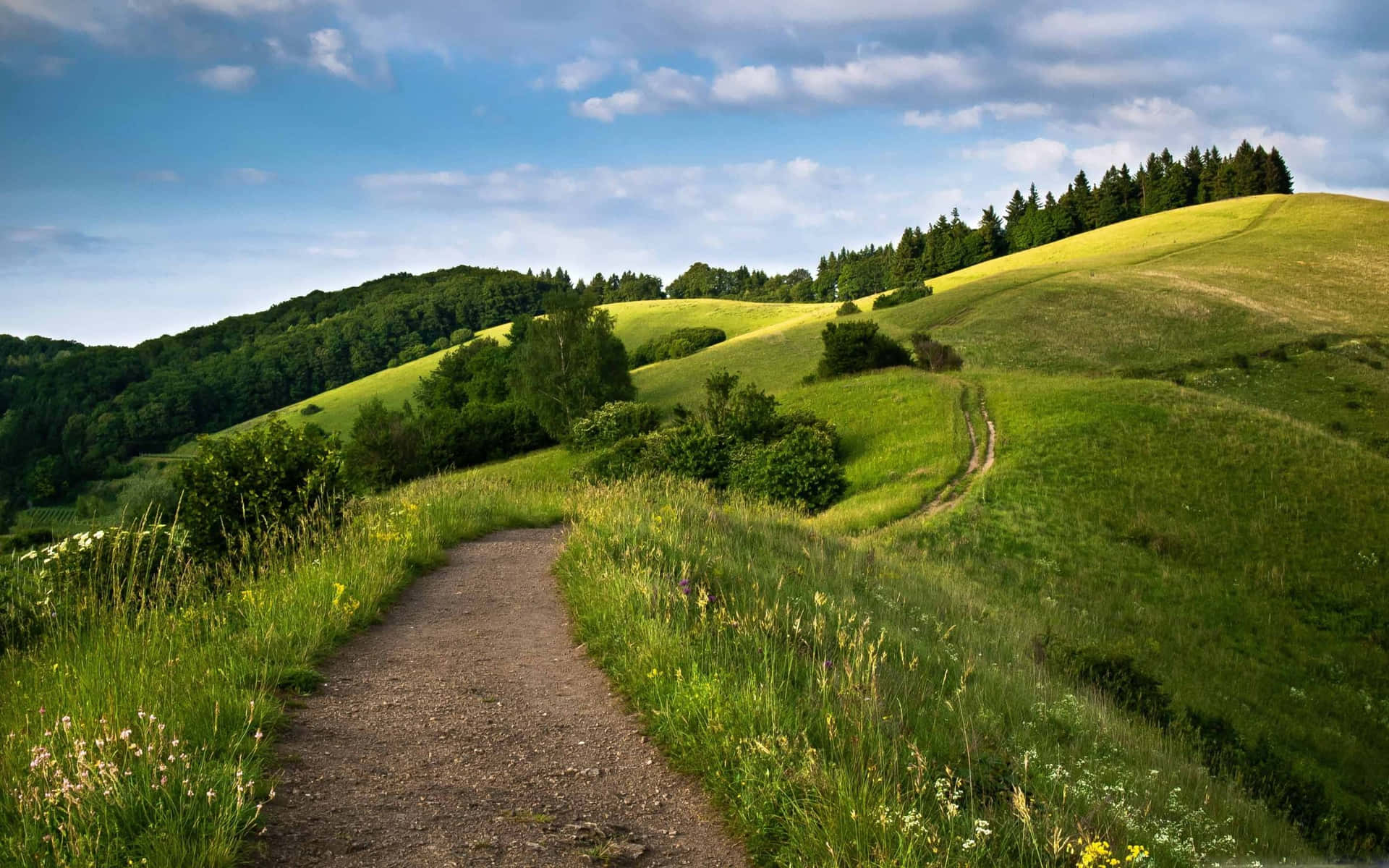 1920x1200 Nature Hills Wallpaper