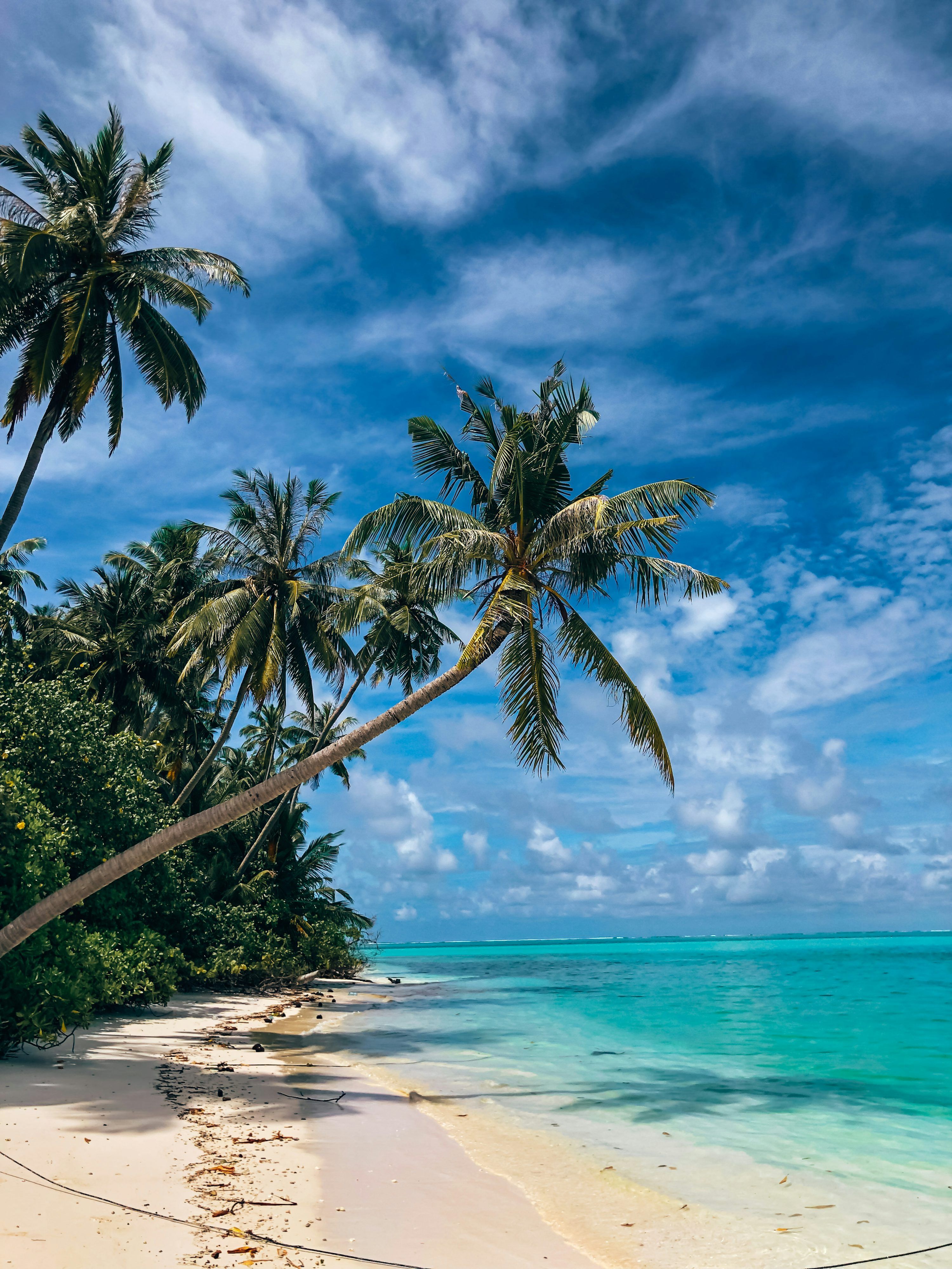 3000x4000 A tropical beach with palm trees and clear blue water photo