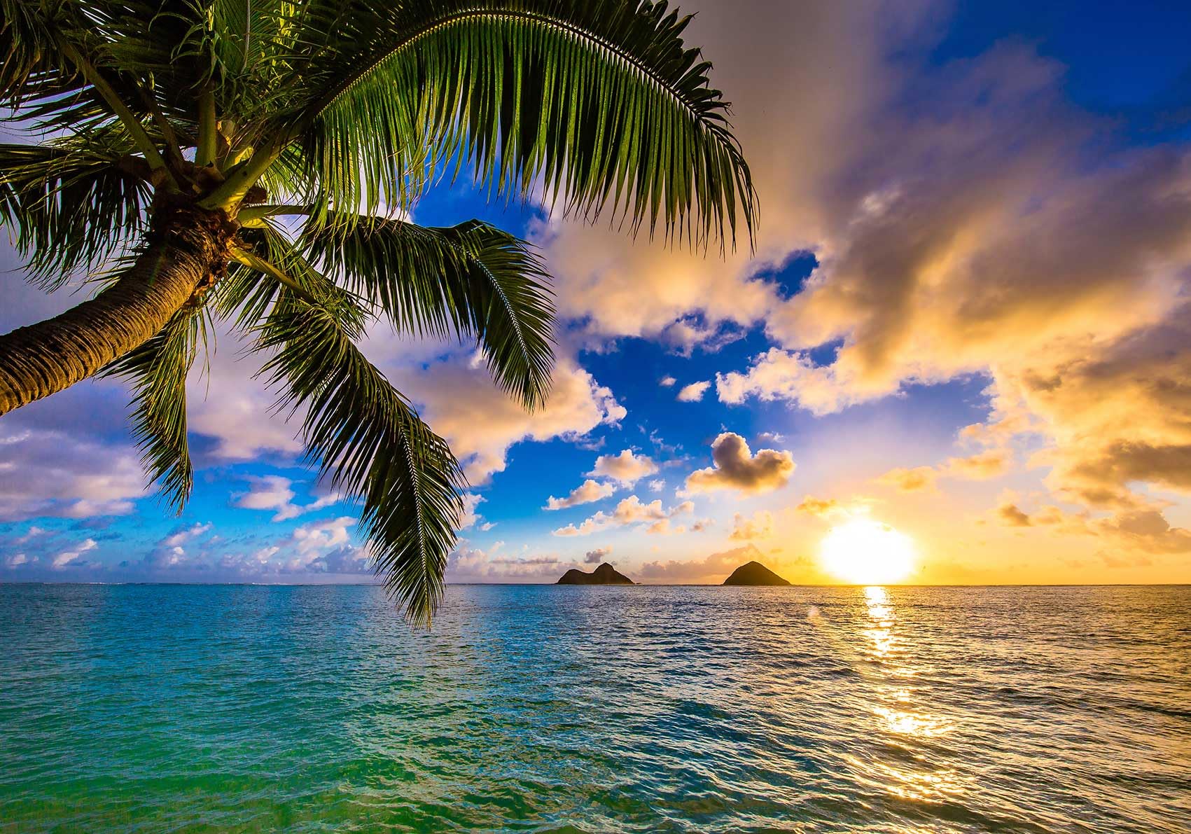 1701x1191 Jdayda Sunset Beach Wallpaper Hawaiian Seascape Palm Tree Wall Mural For Bedroom Living Room (Not Self Adhesive) : Tools & Home Improvement