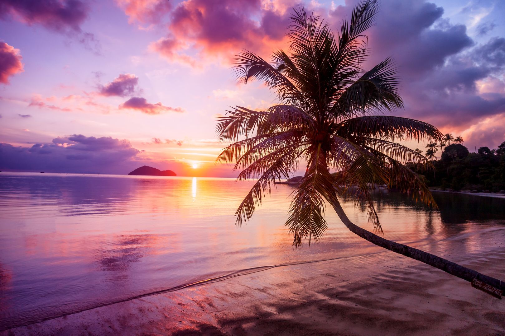 1620x1080 Wall mural beach, sunset, palm tree, shades of purple, orange and blue