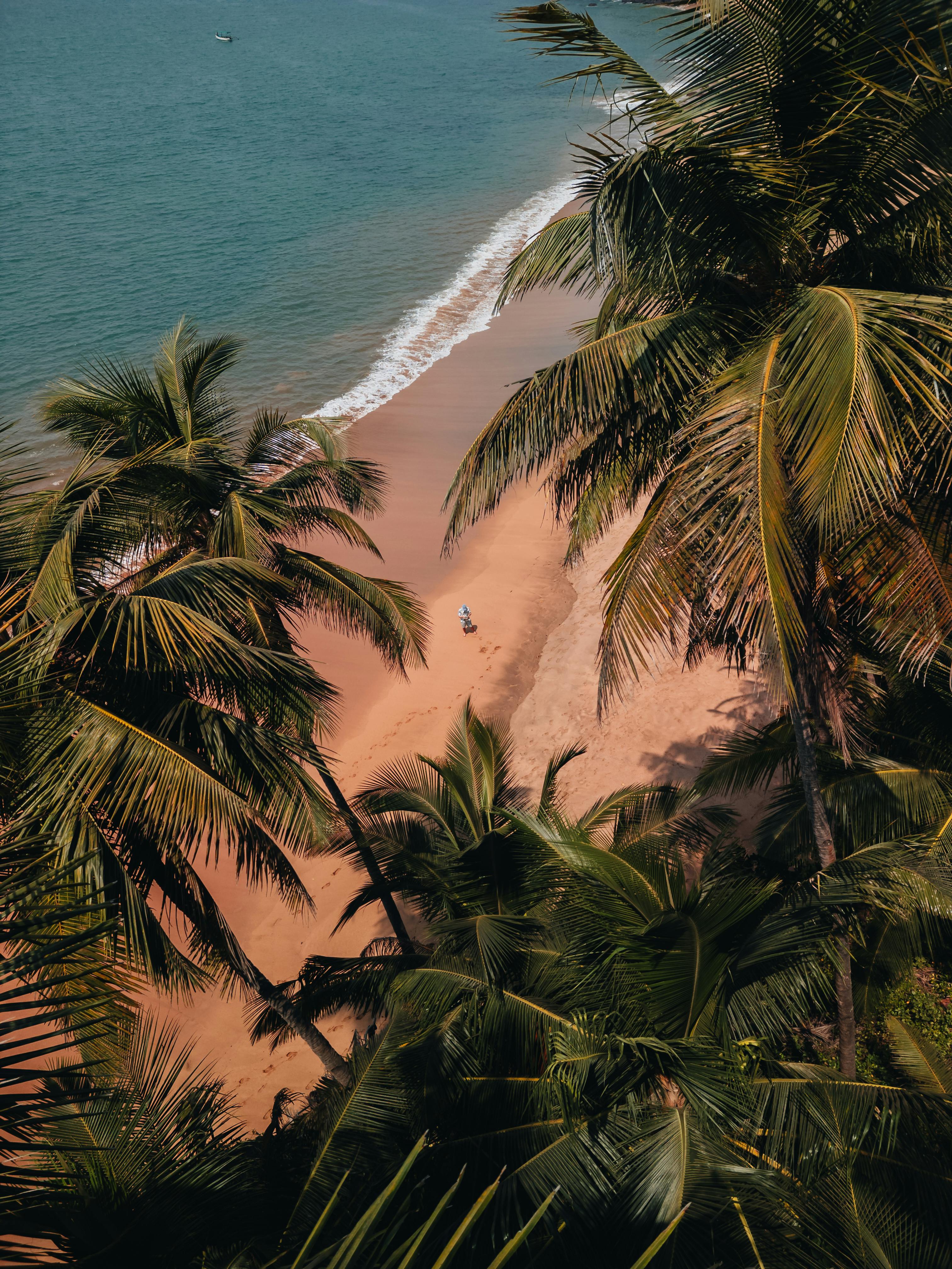 3024x4032 Tropical Beach Photo, Download The BEST Free Tropical Beach & HD Image