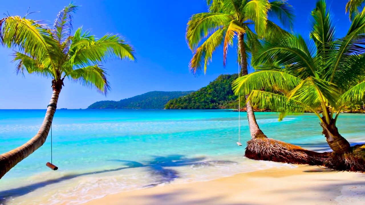 1280x720 4k UHD Tropical Beach & Palm Trees on a Island, Ocean Sounds, Ocean Waves, White Noise for Sleeping