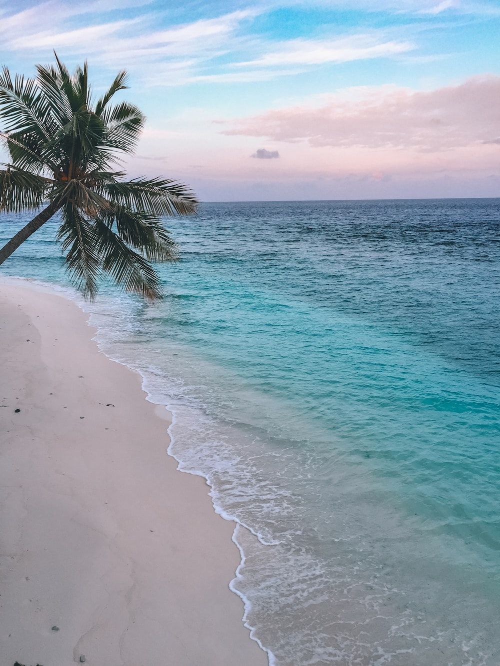 1000x1333 Beach With Palm Trees Wallpaper