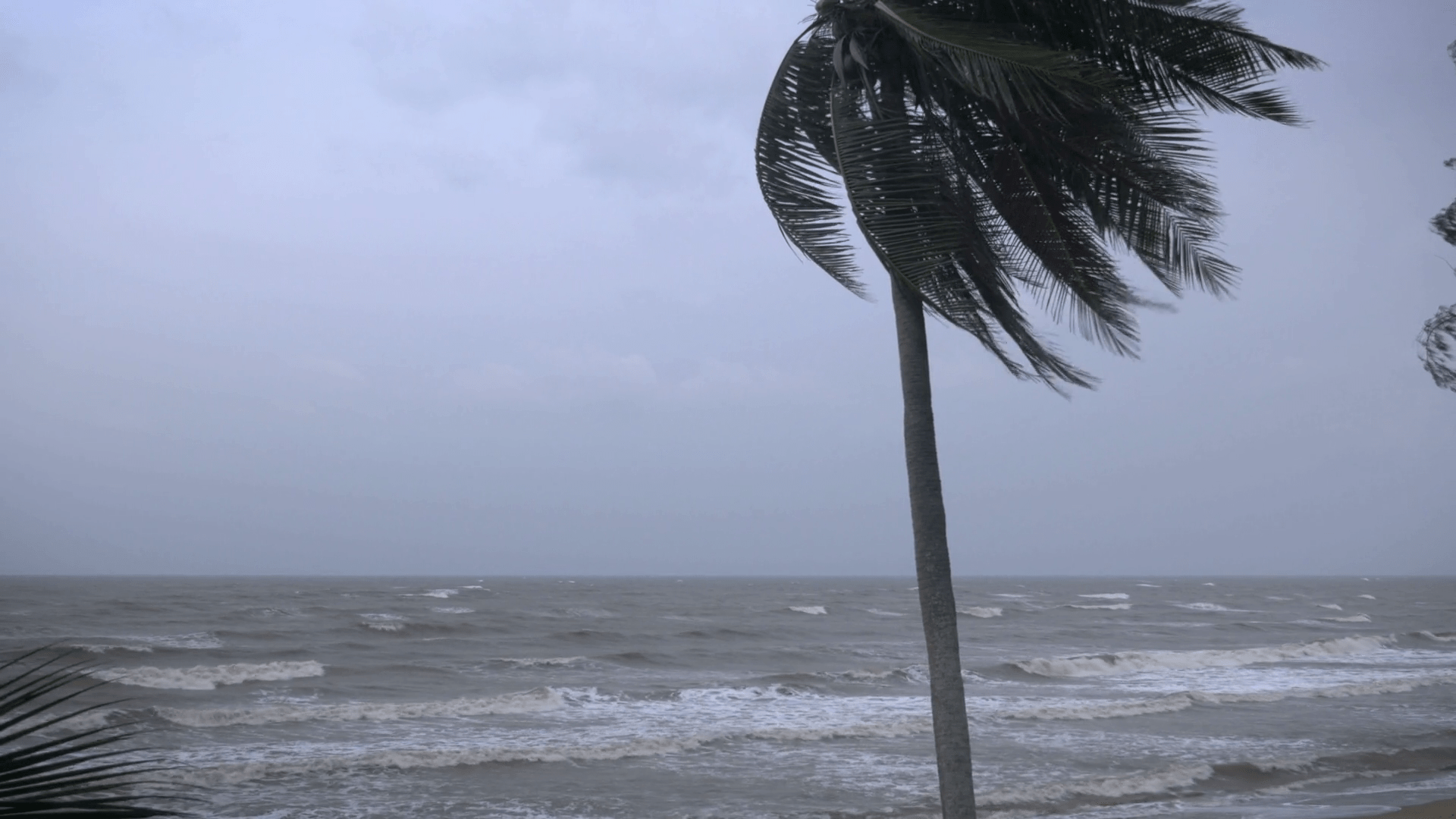 Wind Real Strong Strong Wind Wallpapers - Top Free Strong Wind Backgrounds - WallpaperAccess