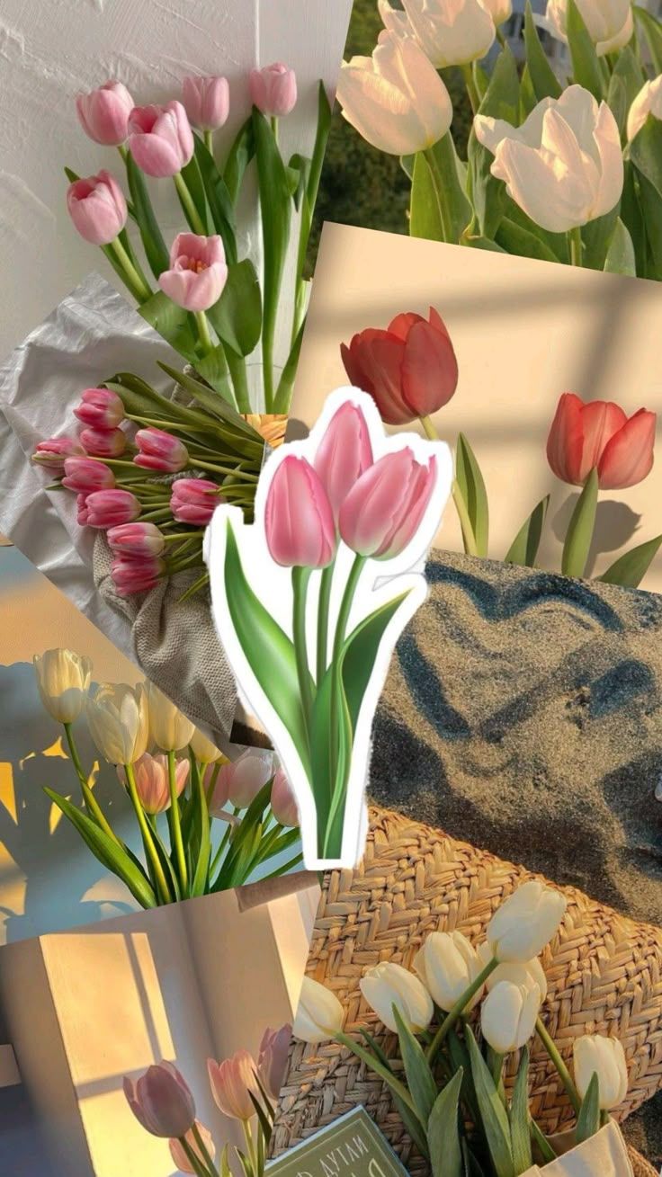 Aesthetic Pink Tulips Wallpapers - Top Free Aesthetic Pink Tulips ...
