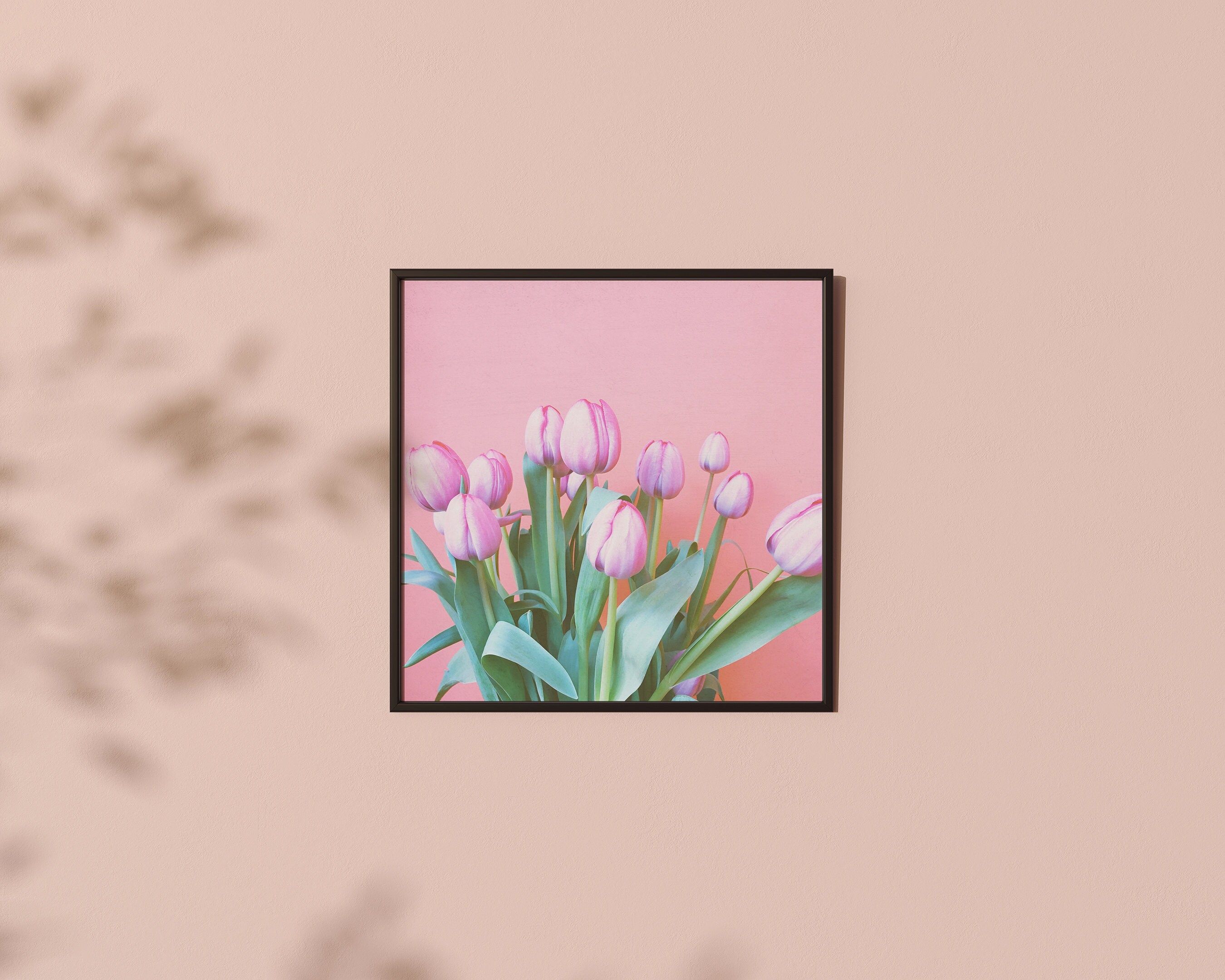 Aesthetic Pink Tulips Wallpapers - Top Free Aesthetic Pink Tulips ...