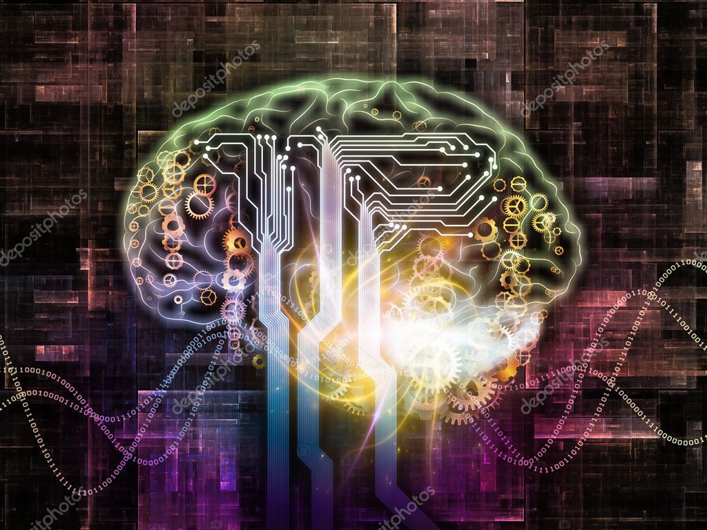 1024x768 Brain Pathways