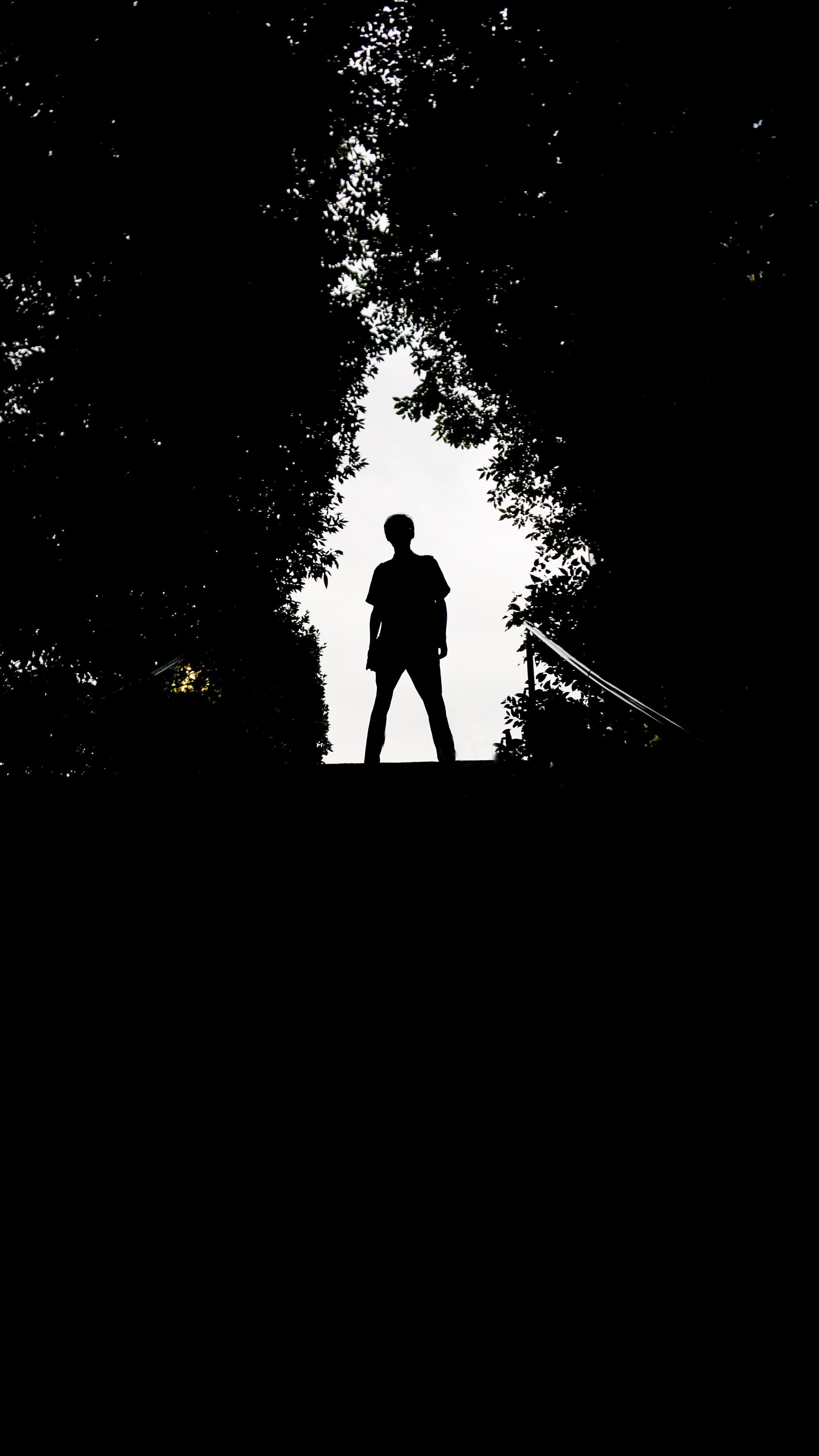 2160x3840 Download wallpaper 2160x3840 silhouette, man, dark, trees samsung galaxy s s note, sony xperia z, z z z htc one, lenovo vibe HD background