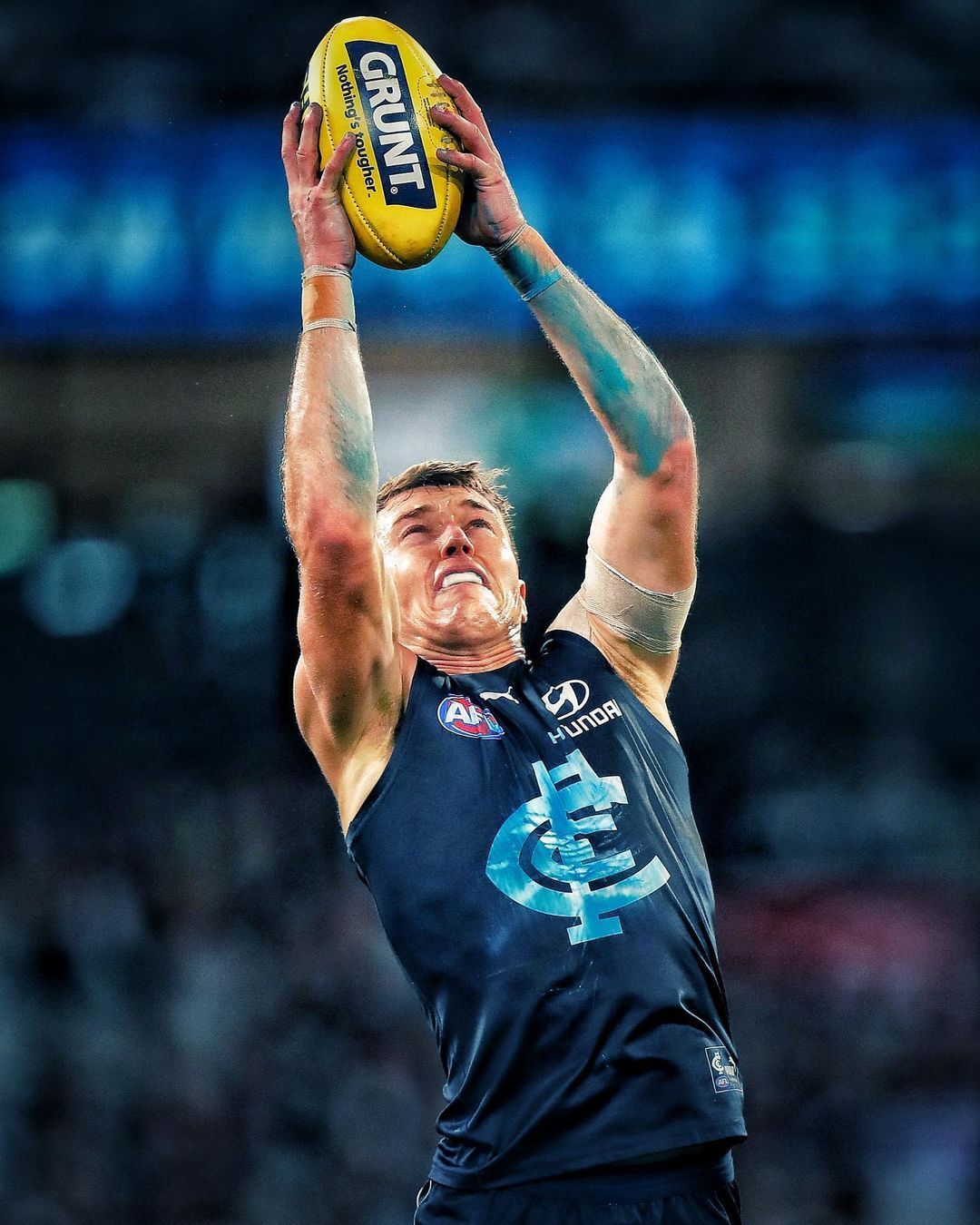 1080x1350 Carlton ideas. carlton, carlton blues, carlton football club
