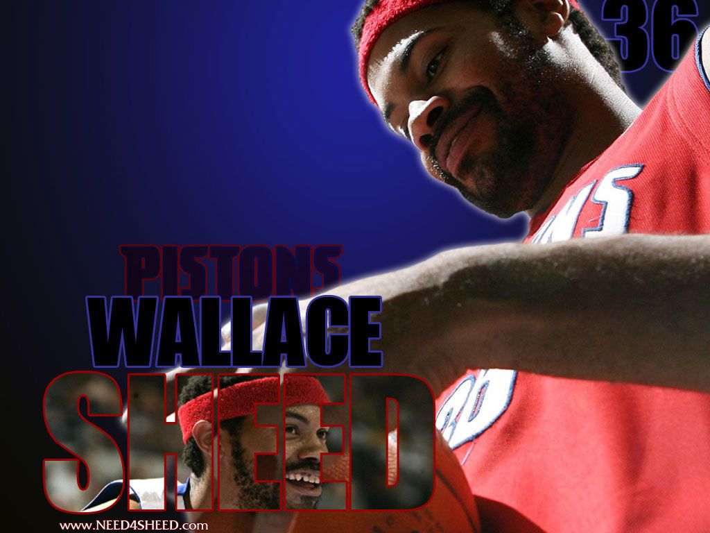 1024x768 Photo: Rasheed Wallace Wallpaper Heel Times