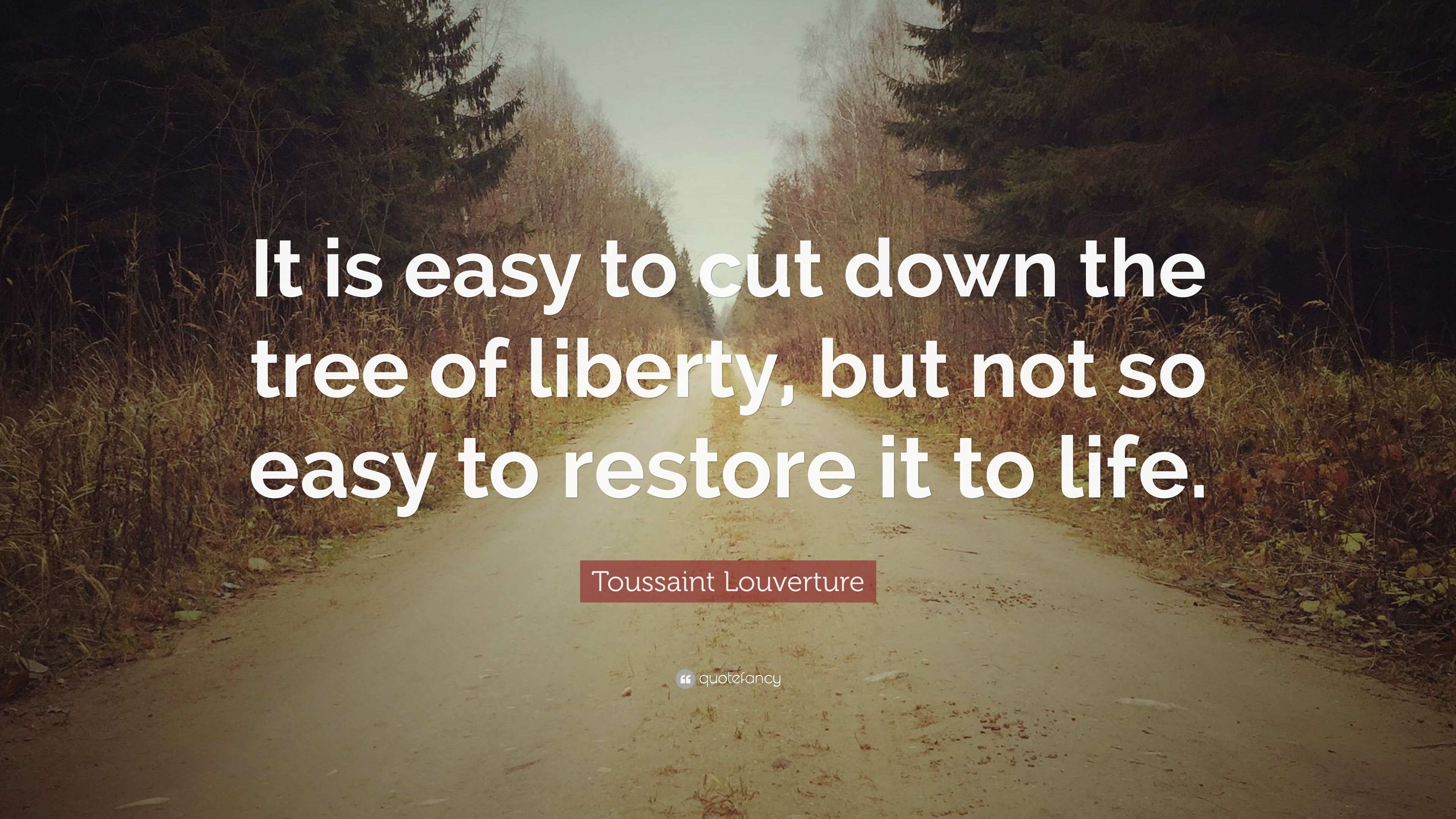 3840x2160 Toussaint Louverture Quotes (2026 Update)