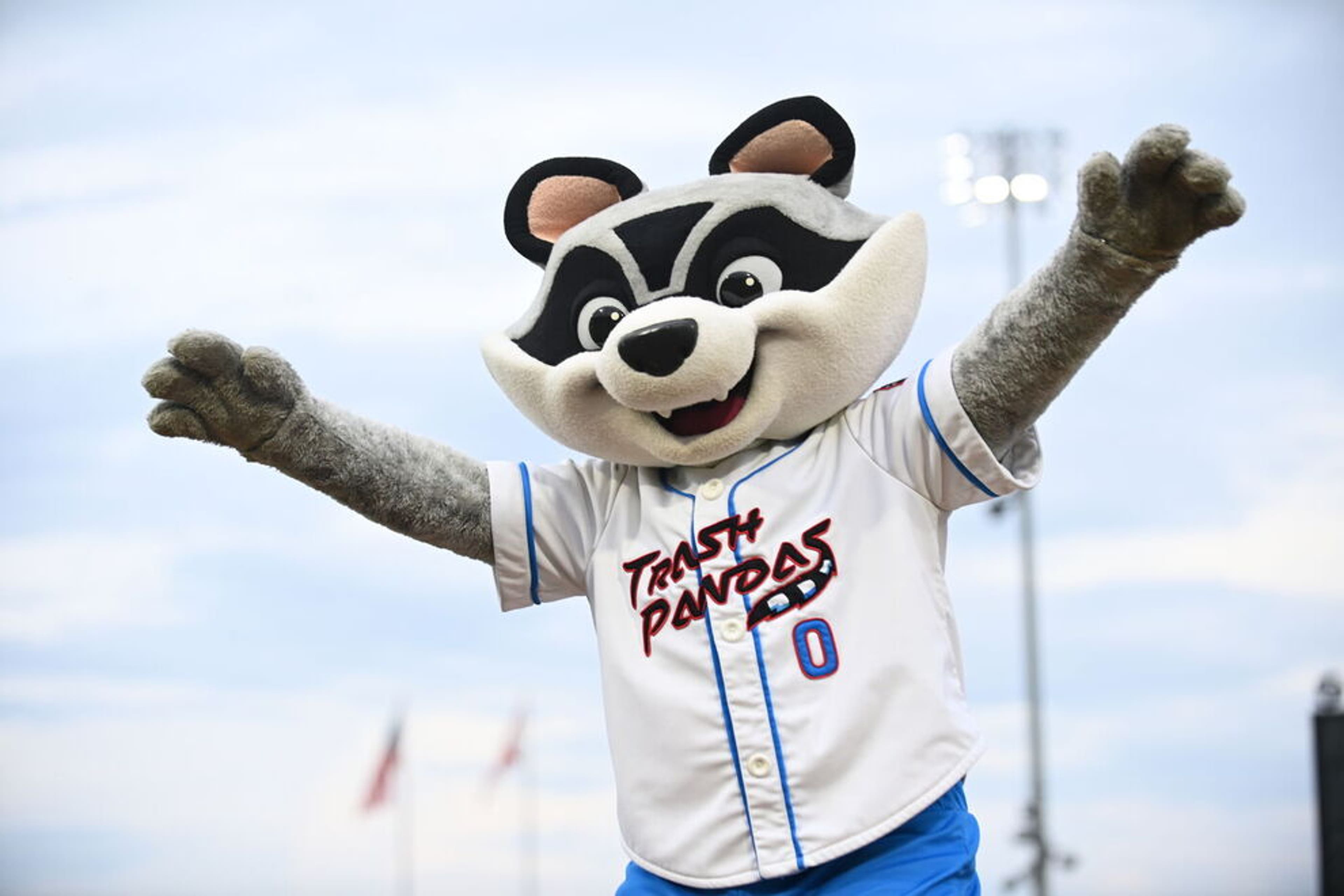 Rocket City Trash Pandas Wallpapers - Top Free Rocket City Trash Pandas ...