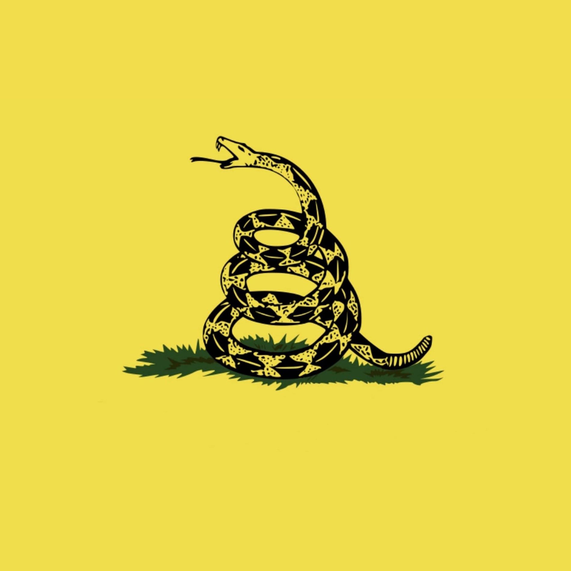 1900x1900 Spider Gang: albums, songs, concerts